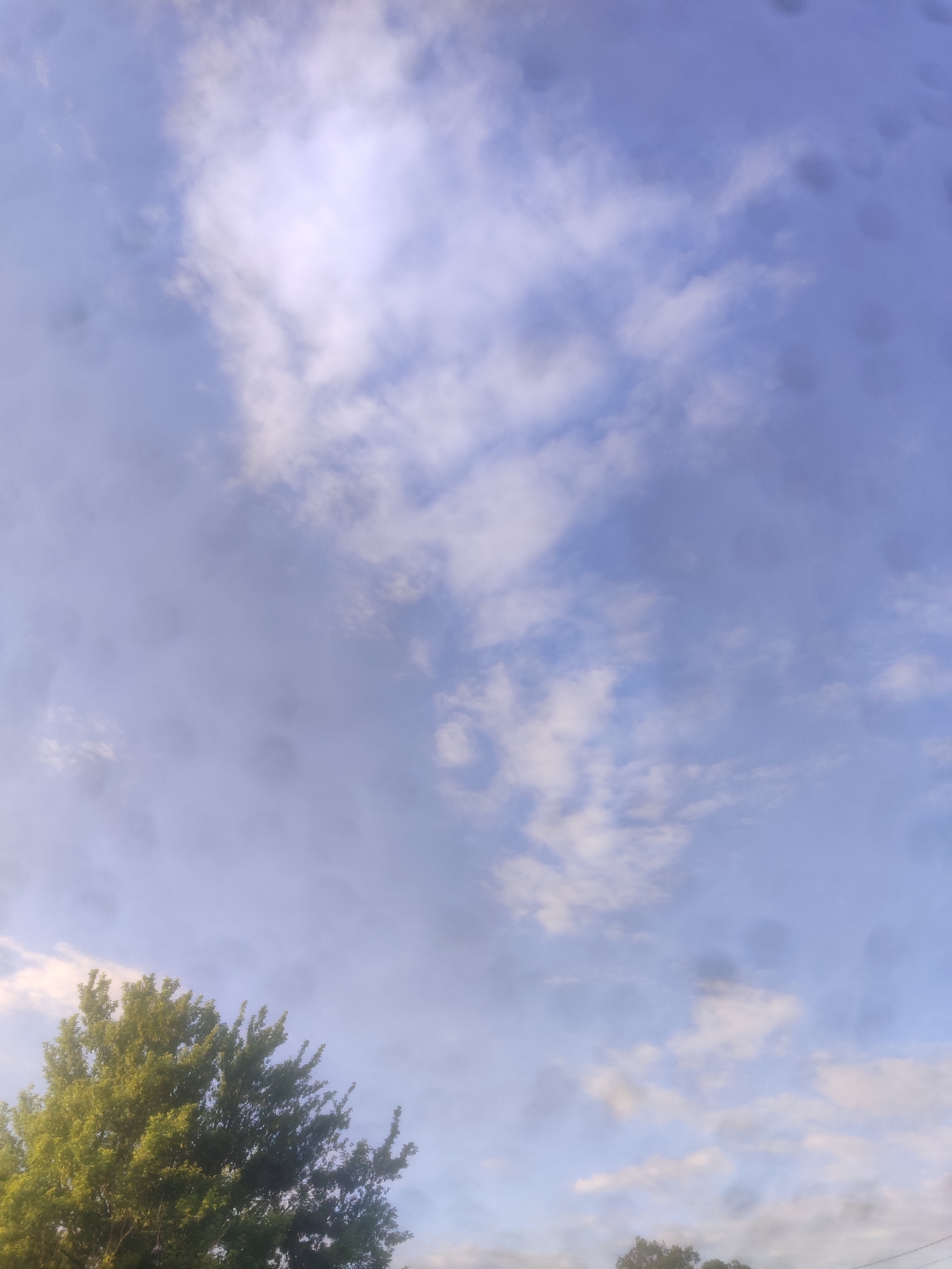 The image is a low-angle, vertical shot of a sky filled with clouds. A portion of a lush green tree is visible in the bottom left corner, with its branches reaching upwards. The sky is a mix of pale blue and white, with scattered clouds of various densities. Some clouds are wispy and light, while others appear thicker and more defined. The overall lighting suggests it is daytime, possibly late afternoon or early morning, given the soft quality of the light. There are some circular, blurry dark spots visible in the sky, which might be water droplets or dust on the lens. No people, objects other than the tree, or text are discernible in the image. The scene evokes a sense of natural beauty and calm, with the sky occupying the majority of the frame.