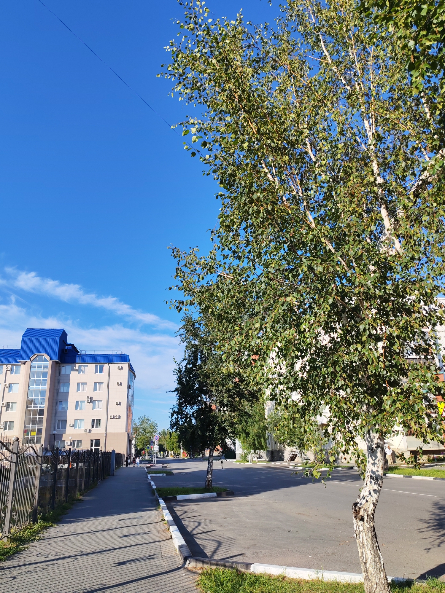A street scene in a city under a clear blue sky with sparse white clouds. In the foreground, a light-colored birch tree with green leaves stands to the right, its trunk marked with distinctive dark patches. To the left, a grey sidewalk runs alongside a black metal fence. Beyond the fence, a light-colored building with a distinctive blue, multi-pitched roof is visible. The building has multiple windows, some with reflective glass, and air conditioning units mounted on its exterior. The street continues into the distance, lined with more trees and buildings. A few people are seen walking on the sidewalk further down the street. The sun casts shadows from the tree and fence onto the sidewalk and road.