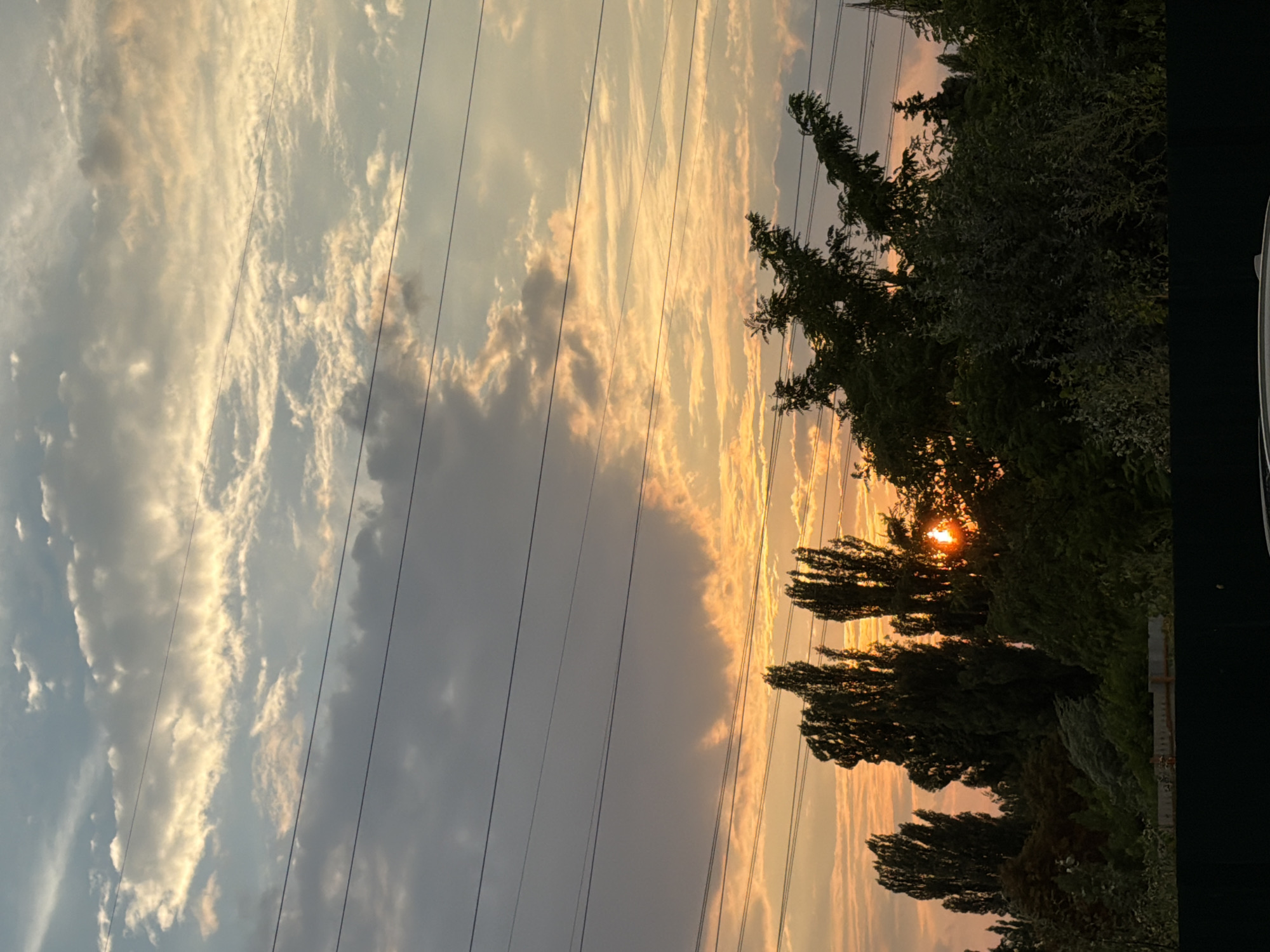 The image depicts a sunset over Kyiv, Ukraine, with the sky illuminated by the orange glow of the setting sun. The sky is filled with scattered clouds, some of which are tinged with yellow and orange. Several power lines stretch horizontally across the frame, crossing the sky. In the foreground, a dense line of trees and foliage creates a dark silhouette against the bright sky. The trees are tall and varied in shape, with some appearing as tall, slender spires and others as fuller, bushier forms. The overall scene is one of natural beauty, with the man-made element of the power lines providing a subtle contrast to the organic elements of the landscape.