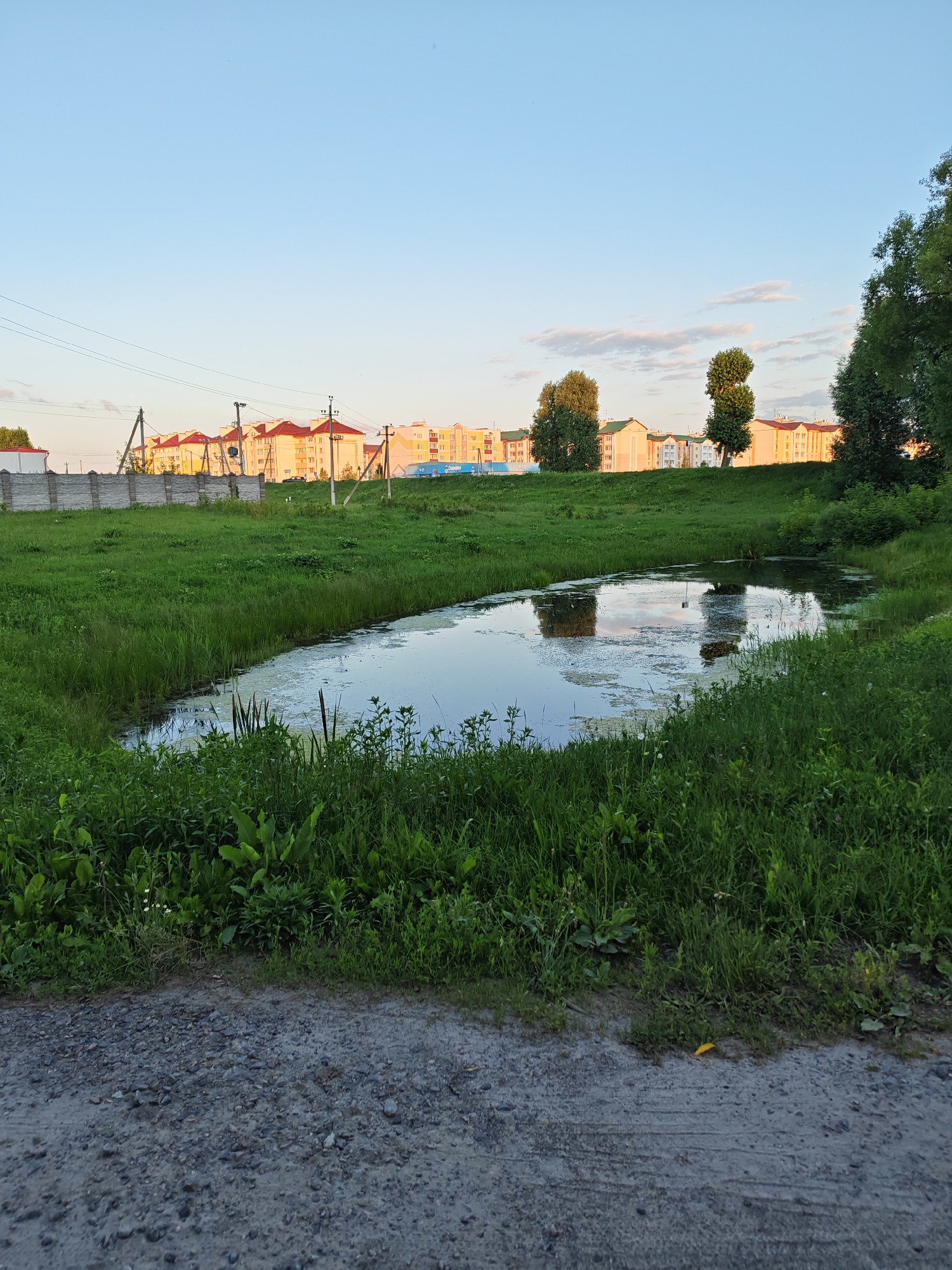 The image depicts a rural landscape in the Chankauski Sel'ski Savet, Belarus, featuring a small pond surrounded by lush green grass and vegetation. In the background, a row of multi-story residential buildings with red roofs is visible, suggesting proximity to a populated area. Overhead, power lines stretch across the horizon under a clear blue sky with a few scattered clouds. The foreground consists of a gravelly surface, likely a road or path. The overall impression is one of a tranquil, natural setting juxtaposed with modern urban development.