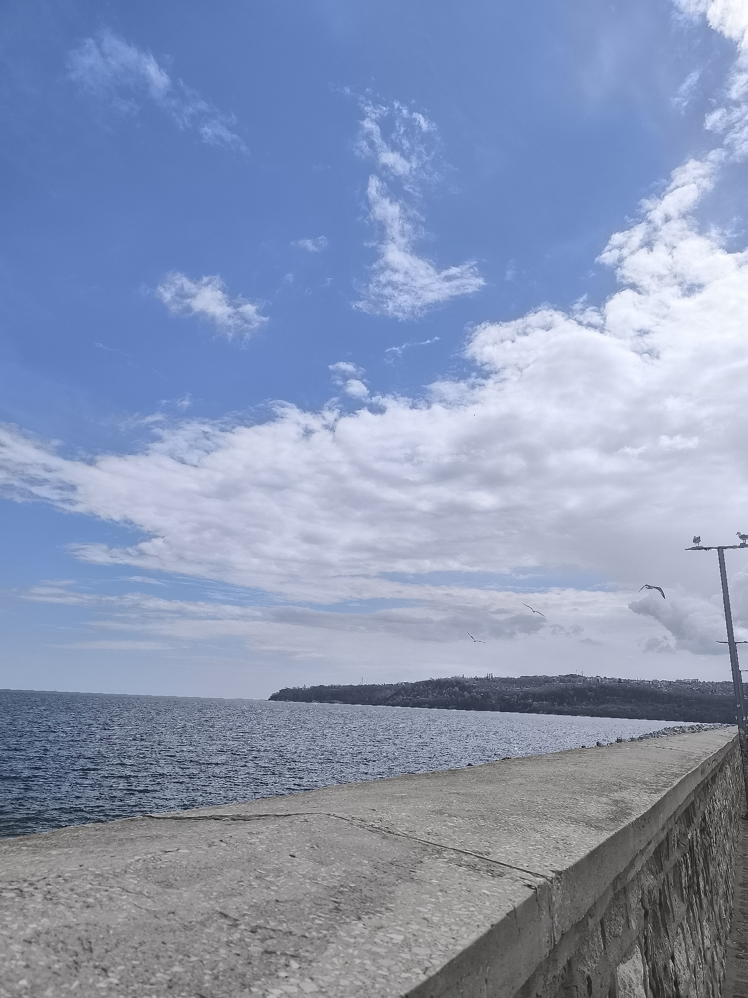 The image depicts a coastal scene in Varna, Bulgaria, characterized by a seawall along the Black Sea. The sky is partially cloudy, with patches of blue visible. Several seabirds are in flight. In the distance, a landmass with urban development is visible. A light pole with birds on top is positioned on the right side of the image. The seawall is made of stone and concrete.
