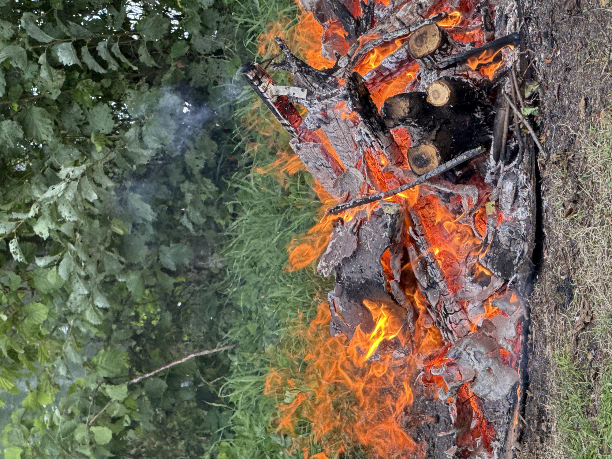 This image depicts a bonfire in a grassy area, with trees and foliage in the background. The fire is burning intensely, with bright orange flames consuming logs and embers. Smoke rises from the fire and blends into the surrounding greenery. The ground around the bonfire is covered in dirt, ash, and dry grass. The location is identified as Irinovka, Russia. There are no people visible in the image.