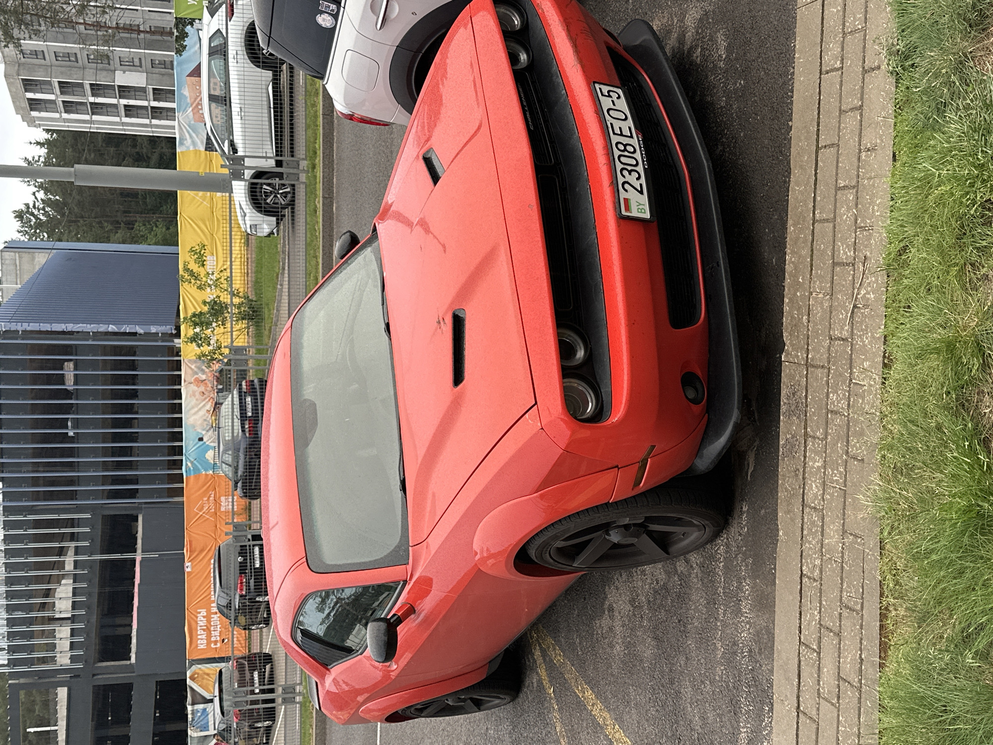 A red Dodge Challenger, identified as a Widebody variant by its prominent fender flares, is parked on an asphalt surface with faded yellow parking stripes in the foreground. The vehicle features black multi-spoke wheels, a black front splitter, and two dark rectangular hood scoops. A Belarusian license plate, "BY 2308 EO-5," is affixed to the front bumper, with the "DODGE" brand name visible directly below it. The car's red paint exhibits visible water spots or dust.
To the immediate right, the rear section of a white Mini Cooper is partially visible. In the background, beyond a paved road and behind a metal fence, a line of other vehicles is parked: a dark-colored SUV, two dark-colored sedans (one resembling a BMW E38 7-series), and a white Nissan Rogue/X-Trail. A white SUV is partially obscured by a grey utility pole further to the right.
The immediate foreground consists of a concrete paver curb separating the asphalt from a strip of green grass. The background reveals an urban development scene: an unfinished multi-story building with exposed concrete and blue cladding is on the far left. Adjacent to it, a large orange banner displays Cyrillic text, including "КВАРТИРЫ С ВИДОМ НА" (Apartments with a view of). A yellow banner is visible further right. Multiple multi-story residential buildings, either under construction or recently completed, with grey and white facades, stand in the mid-ground and to the right, interspersed with pine trees. The sky is overcast.
The scene is located in Бараўлянскі сельскі Савет, Belarus.
