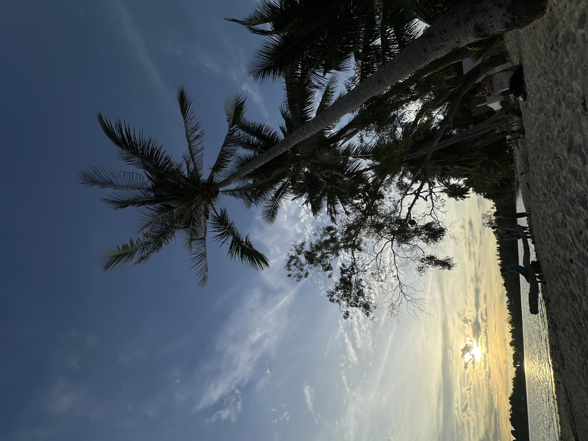 The image depicts a tropical beach scene in Koh Phangan, Thailand, likely at sunset. The camera is angled upwards, capturing tall palm trees silhouetted against a blue sky with wispy white clouds. The sun is low on the horizon, casting a warm, golden glow over the water and reflecting on its surface. The foreground shows a sandy beach with some footprints and a piece of driftwood. Further back, the treeline is dense with foliage, and hints of buildings or structures can be seen among the trees, possibly indicating a resort or a small community. A few figures are visible on the sand near the water's edge, their forms indistinct due to the lighting and distance. The overall atmosphere is serene and peaceful, evoking a sense of tropical relaxation. The time of day is clearly late afternoon or early evening, indicated by the setting sun. The weather appears calm and pleasant. There is no visible text in the image.