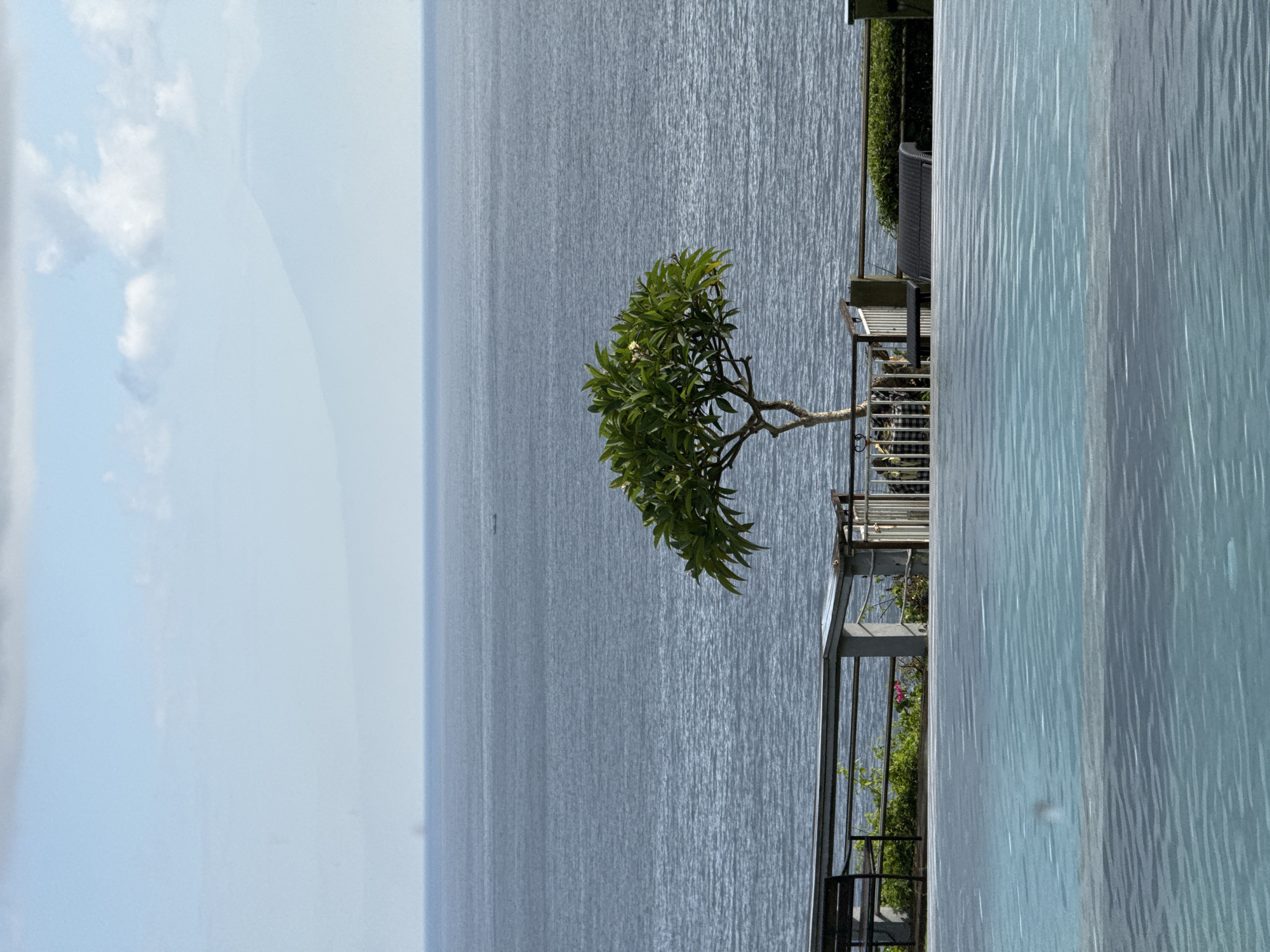 The image depicts a view from what appears to be a balcony in Kuta Selatan, Indonesia, overlooking the ocean. A small tree with green leaves is situated on the balcony. The ocean is calm, with a slight texture on the surface. The sky is light blue with some scattered clouds. To the right of the frame is what appears to be a swimming pool with light blue water. A metal railing and some greenery can be seen on the balcony.