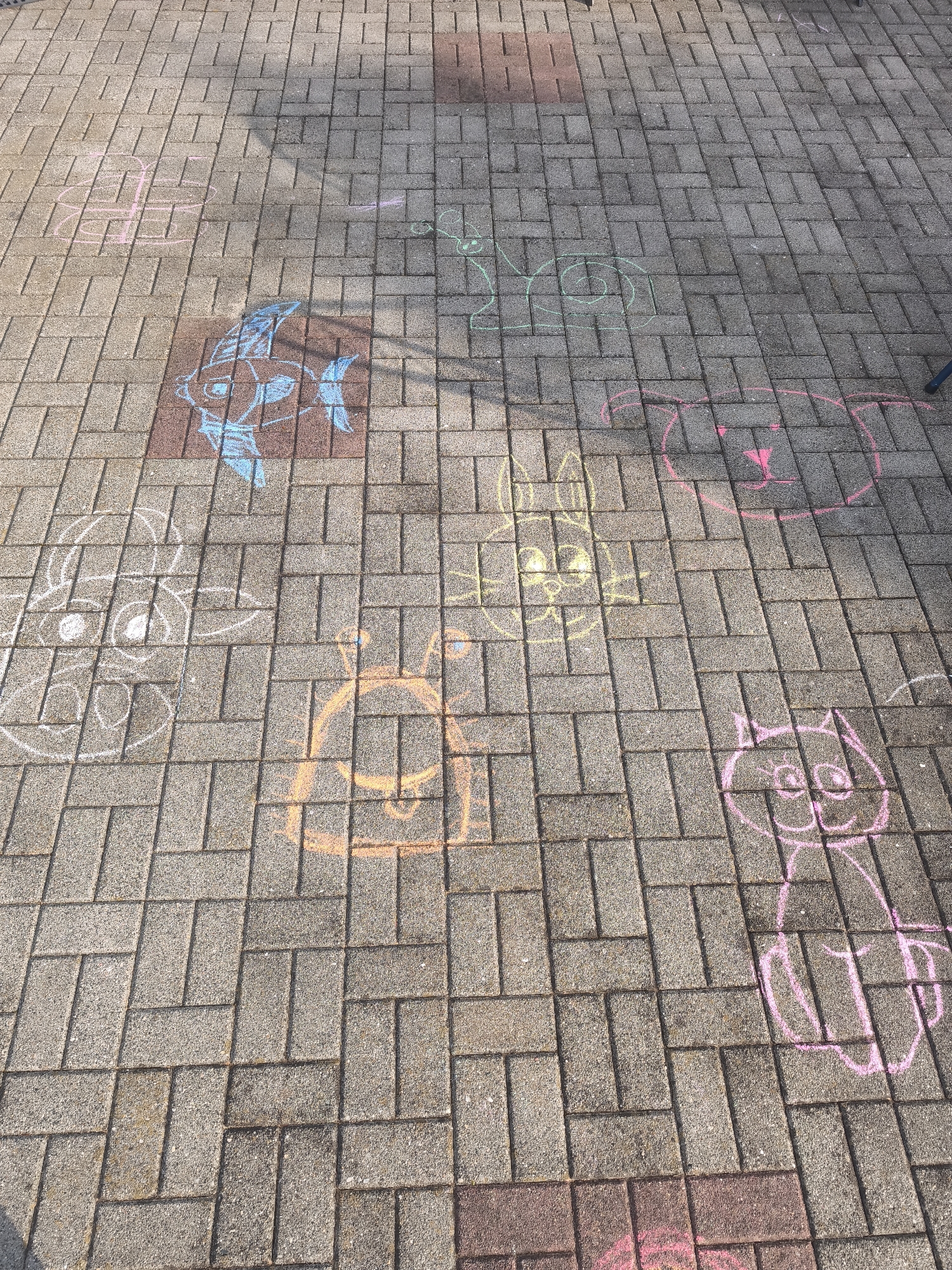 The image shows a paved area with several chalk drawings. The drawings include a blue fish, a green snail, two pink cats, a yellow rabbit, an orange dog, and a white rabbit. The location appears to be outdoors, likely a residential sidewalk or patio. There are no people visible in the image.