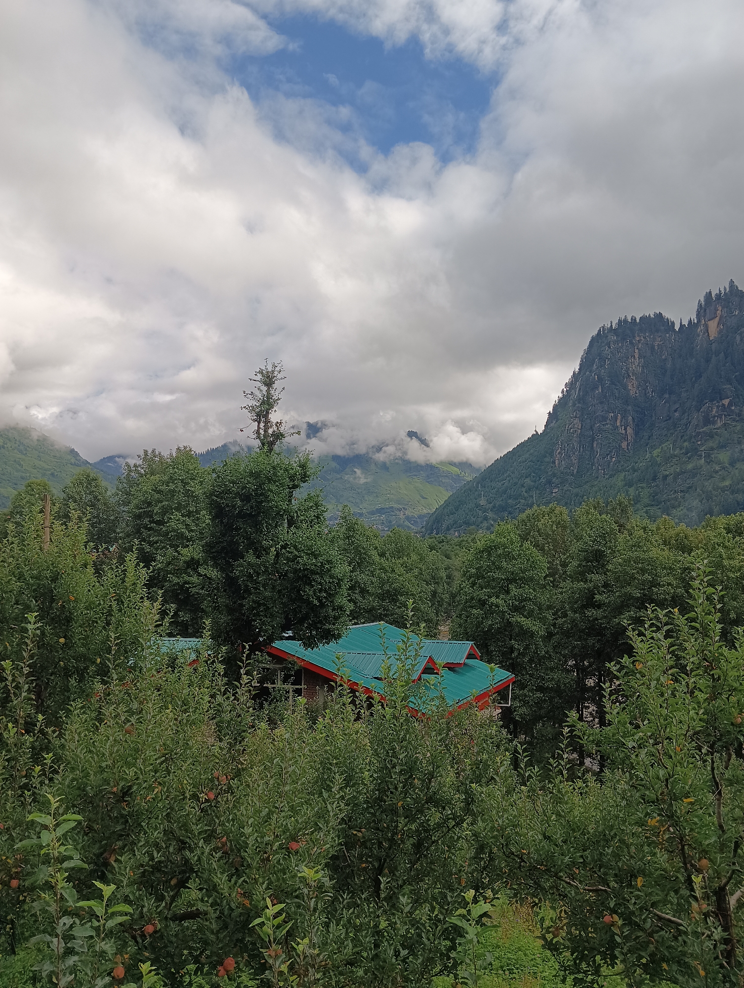 The image depicts a lush green valley in Goshal, India, characterized by a dense forest of trees and a prominent mountain range in the background. In the foreground, apple trees laden with ripe fruits are visible. Partially obscured by the foliage, a building with a distinct green-tiled roof and red trim can be seen. The sky is partly cloudy, with patches of blue sky visible between the overcast clouds. The overall scene suggests a tranquil, natural setting, likely a rural area or a hill station.