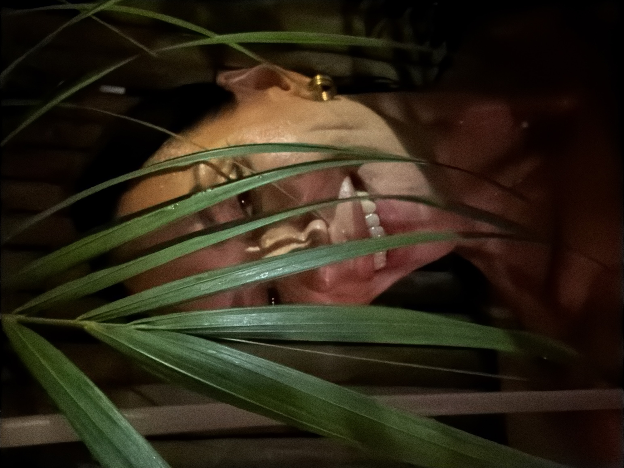 A medium shot captures a woman's face, partially obscured by vibrant green palm fronds, as she smiles. She is positioned in what appears to be a dimly lit, humid environment, possibly outdoors in Baan Bo Phut, Thailand, suggested by the tropical foliage. Her skin is glistening, indicating moisture, and she wears a simple gold hoop earring in her visible ear. The background is dark and indistinct, with hints of wooden structures. The overall impression is intimate and natural.