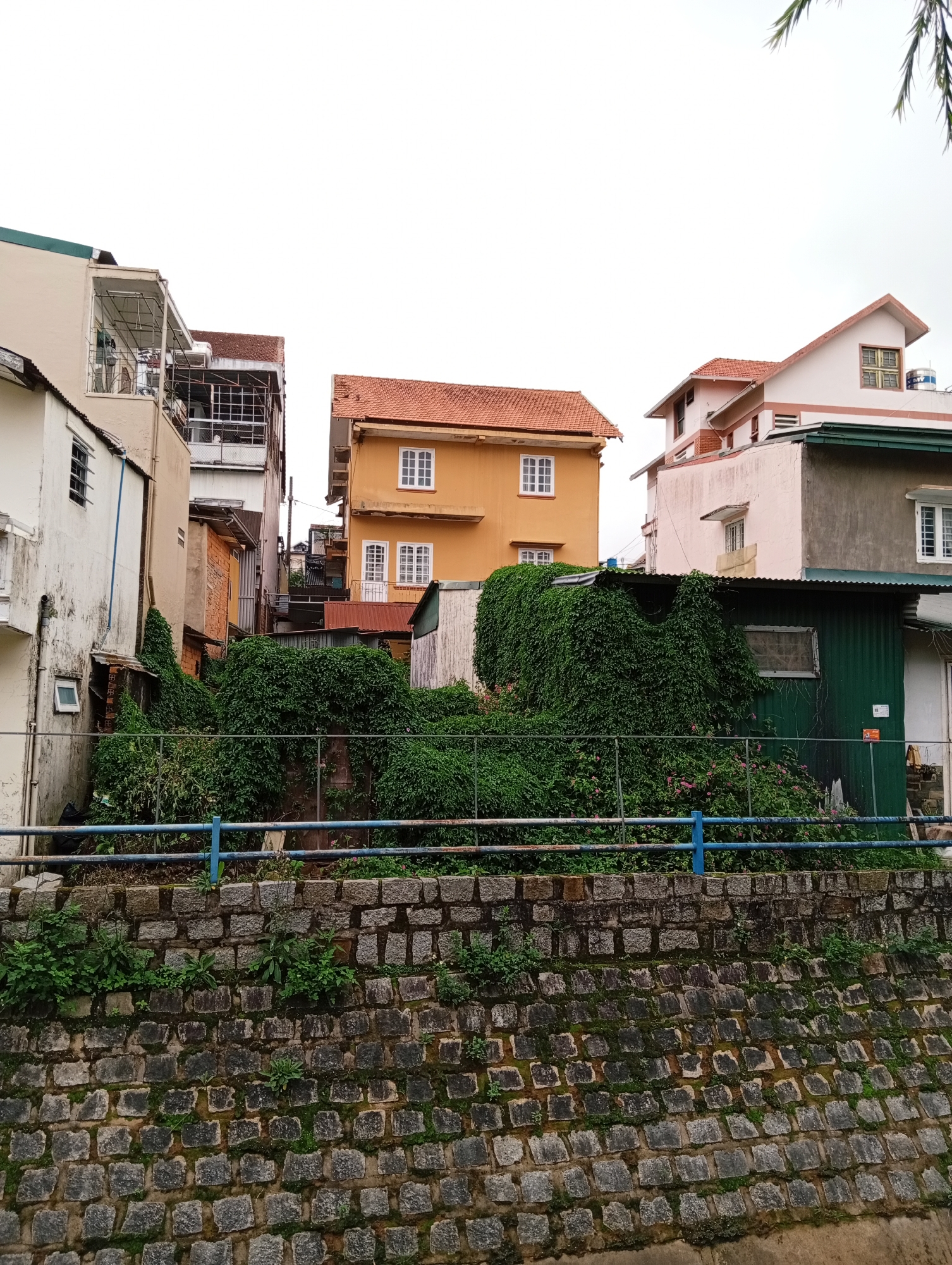 The image presents a dense residential scene, likely on a terraced hillside, viewed under a bright, overcast sky. In the foreground, a robust retaining wall built from irregular, dark grey stone blocks is partially covered with moss and small green plants. Above this, a blue metal railing or fence stretches across the frame, acting as a barrier.
Behind the railing, a mass of vibrant green foliage, appearing as thick vines and bushes, heavily overgrows the slope, engulfing parts of the smaller structures. Amidst this greenery, several houses with distinct architectural styles are visible. To the left, a light-colored building with a multi-level structure features exposed metal supports on its upper sections and small rectangular windows. In the center, a prominent orange house with a classic reddish-brown tiled roof stands out, adorned with multiple white-framed windows. To its right, a lighter pinkish-beige building with a similar tiled roof includes a dormer window, adjacent to a grey concrete wall and a green corrugated metal roof. A green corrugated metal shed, heavily draped in vines, is visible on the far right.
The sky is a uniform bright white, indicating an overcast daytime. No individuals or specific activities are depicted. Small, indiscernible text is visible on signs attached to the green corrugated metal shed on the right side of the image. The scene conveys a sense of established urban development integrated with lush, untamed natural growth.