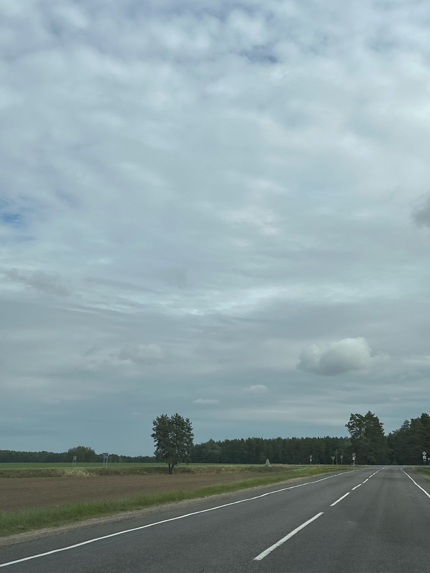 The image shows a straight asphalt road with white lane markings, receding into the distance. The road is bordered by a grassy shoulder and then fields. On the left, a field of brown soil is adjacent to a field of green grass. Further in the distance, a dark green line of trees forms the horizon. A solitary tree stands in the middle distance on the left, and a cluster of trees is visible on the right. The sky is overcast with a thick layer of gray clouds. There are no people or vehicles visible in the image. The scene appears to be a rural landscape in Belarus, possibly on a road in or near the Парыцкі сельскі Савет.