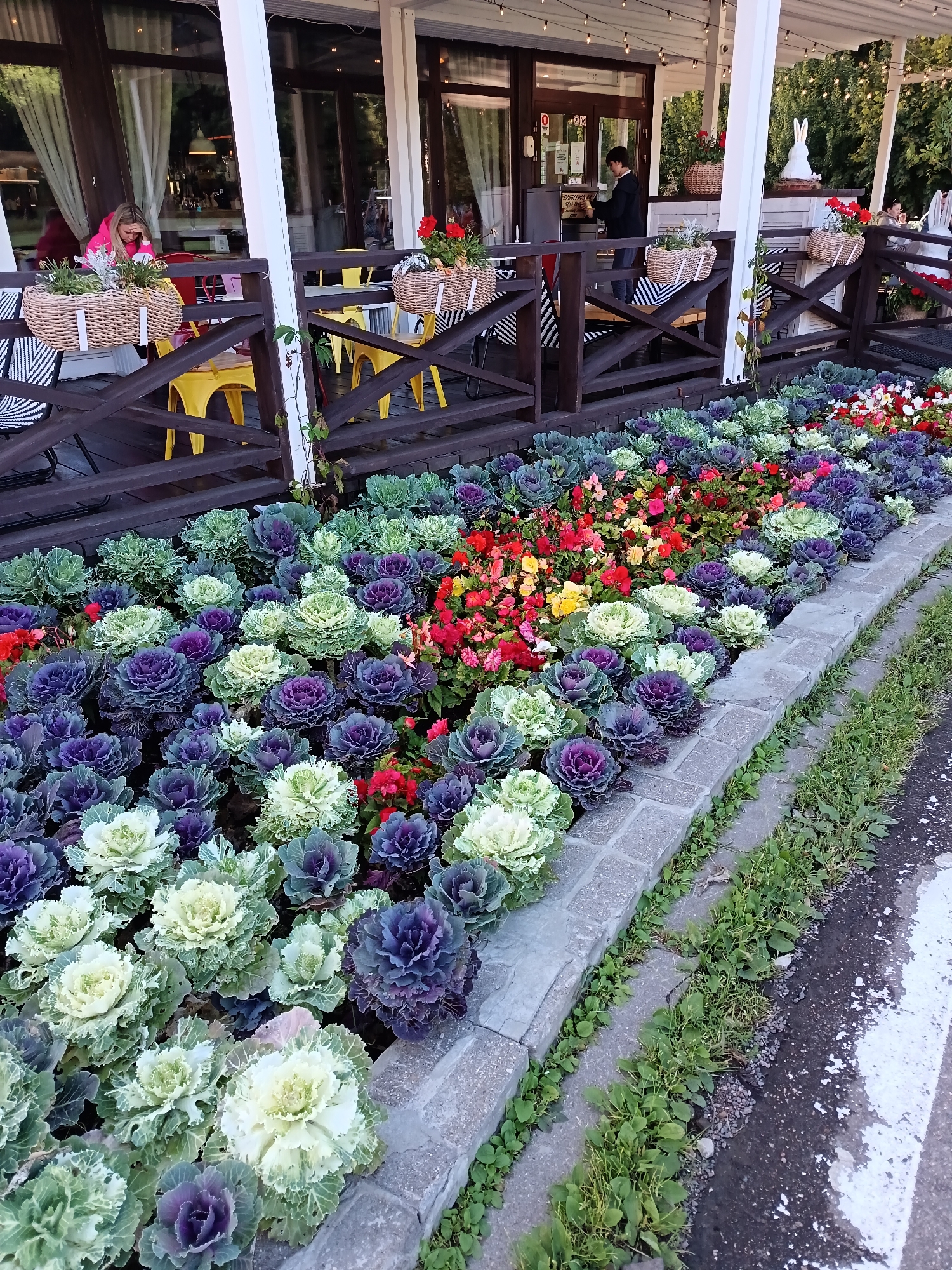 The image shows an outdoor cafe with a flower bed in the foreground. The flower bed is filled with ornamental kale in shades of purple, green, and white, interspersed with small red and yellow flowers. A stone pathway borders the flower bed. In the background, a wooden deck with outdoor seating is visible. Several yellow chairs are placed on the deck. A woman in a pink hoodie is seated at a table, looking down at something in her hands. Another person, dressed in a dark jacket, is standing near a counter. A white decorative rabbit statue is visible on the right side of the deck. The overall scene suggests a pleasant outdoor dining or relaxation area. The location is identified as Odintsovo, Russia.