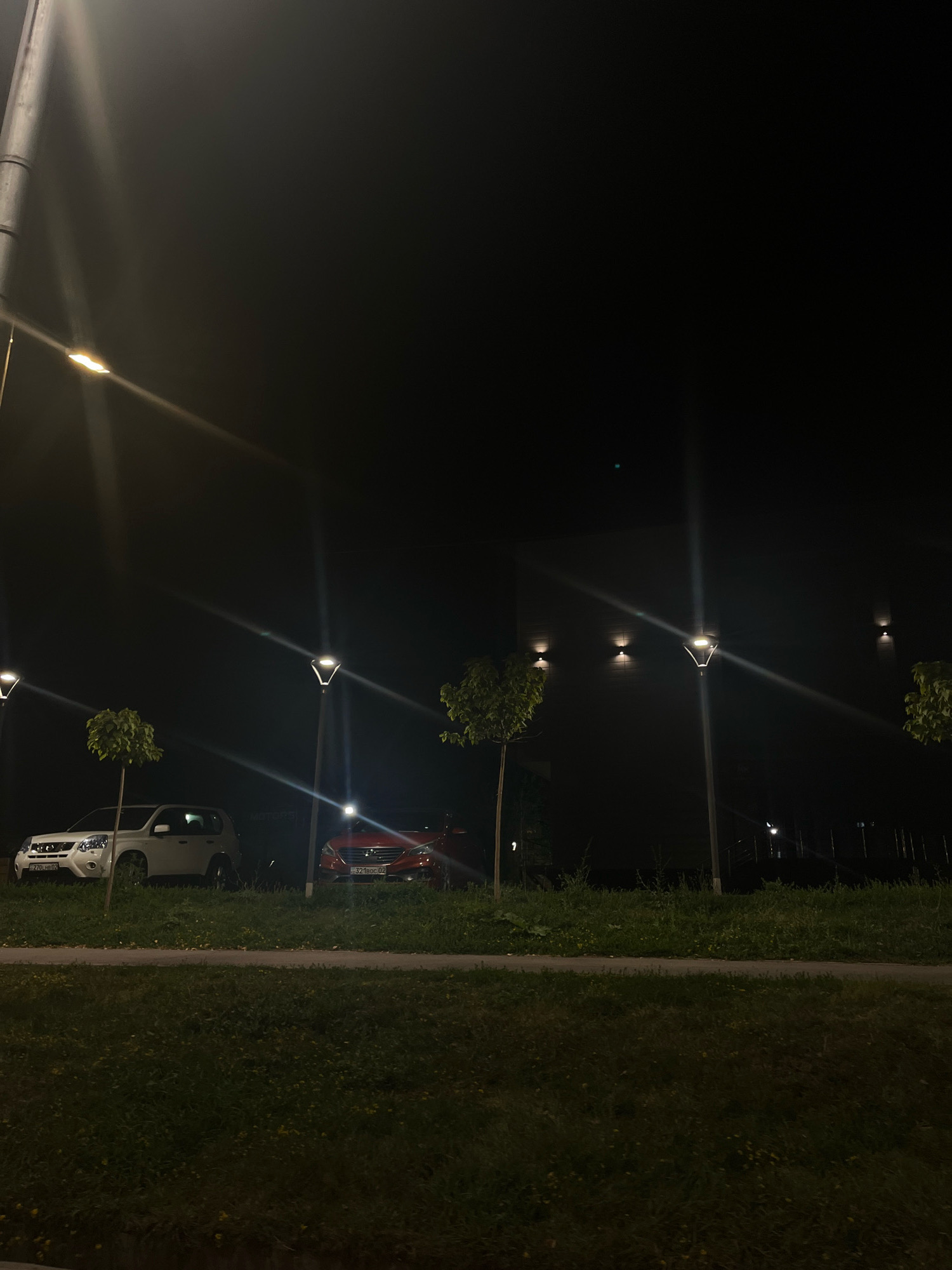 The image depicts an outdoor scene at night, illuminated by streetlights and building lights. In the foreground, a grassy area with some sparse vegetation transitions to a paved pathway. Beyond the pathway, a line of parked cars is visible. The cars include a white SUV on the left, and a red sedan on the right. Several trees, some appearing to be manicured, are interspersed with streetlights. In the background, a building with multiple wall-mounted lights is present, along with more streetlights and a dark, possibly foggy sky. The scene appears to be a public area, possibly a parking lot or street in Almaty, Kazakhstan. No people are visible in the image. The overall impression is one of a quiet, dimly lit urban environment after dark.