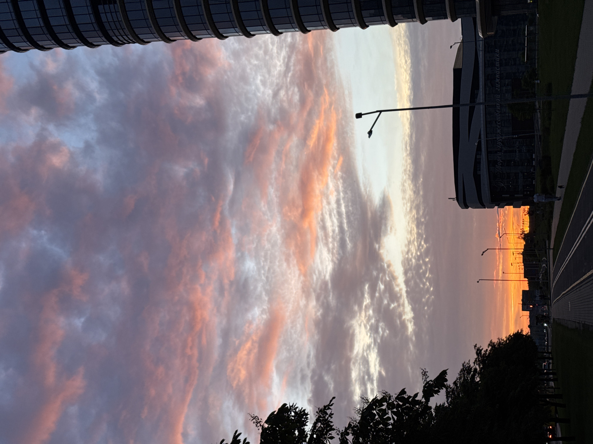 The image captures an urban twilight scene, likely at sunset, in Minsk, Belarus. The sky is dominated by a low sun illuminating widespread altocumulus and stratocumulus clouds in shades of salmon pink, vibrant orange, and purple-grey, transitioning to light blue in the upper portions.
On the left side of the frame, a row of mature deciduous trees forms a dark silhouette against the sky, lining a paved road with visible traffic in the distance. Adjacent to the road are a sidewalk and a separate two-lane path, likely for bicycles or pedestrians. Multiple streetlights with active illumination are spaced along these thoroughfares.
On the right side, a tall, multi-story cylindrical building with numerous dark-tinted windows is partially visible, its curved facade rising vertically. Adjacent to this, a large, modern architectural structure with a distinctive undulating roofline and a textured, patterned facade is prominent. Inscribed on its facade in Cyrillic is "Дворец художественной гимнастики," which translates to "Palace of Rhythmic Gymnastics," confirming the location in Minsk, Belarus.
In the mid-ground, a lone individual, appearing male, walks on a paved pathway beside the road, pushing a dark-colored stroller or similar wheeled object. A small, dark quadruped, consistent with a domestic dog, accompanies the individual. A prominent streetlamp pole stands in the right mid-ground. The overall lighting suggests the transition from dusk into night, with the natural light fading and artificial lighting beginning to assert prominence.