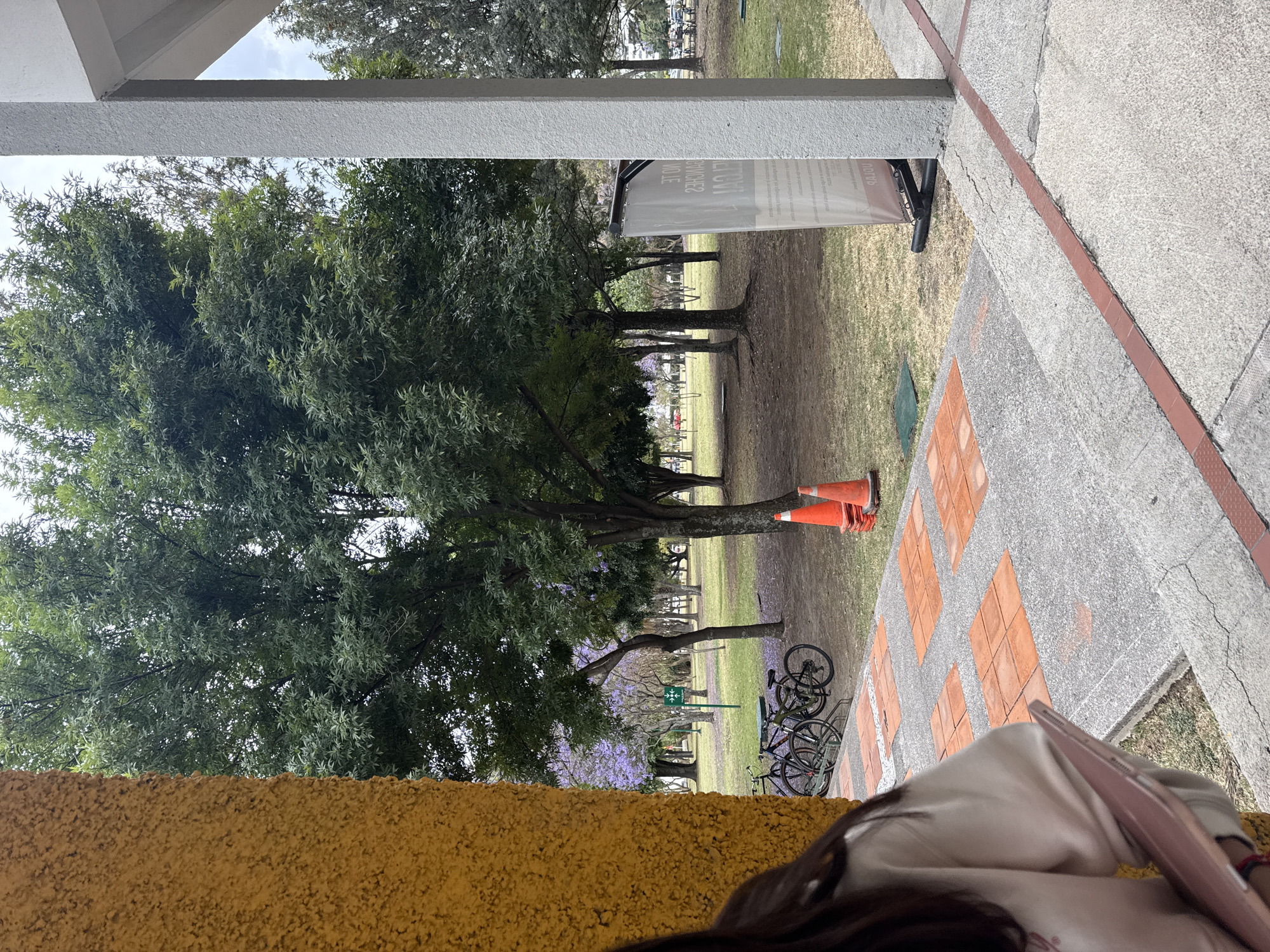 The image, taken in San Andrés Cholula, Mexico, depicts a view from under a covered walkway. The foreground contains sections of a yellow-painted wall, a concrete walkway with interspersed orange tiles, and parts of a person's body including hair, shoulder, and a hand holding a pink phone. The background shows a grassy park area with trees, some displaying purple blossoms. Several bicycles are parked near a path. Further back, orange traffic cones are visible. A sign stands in the background.