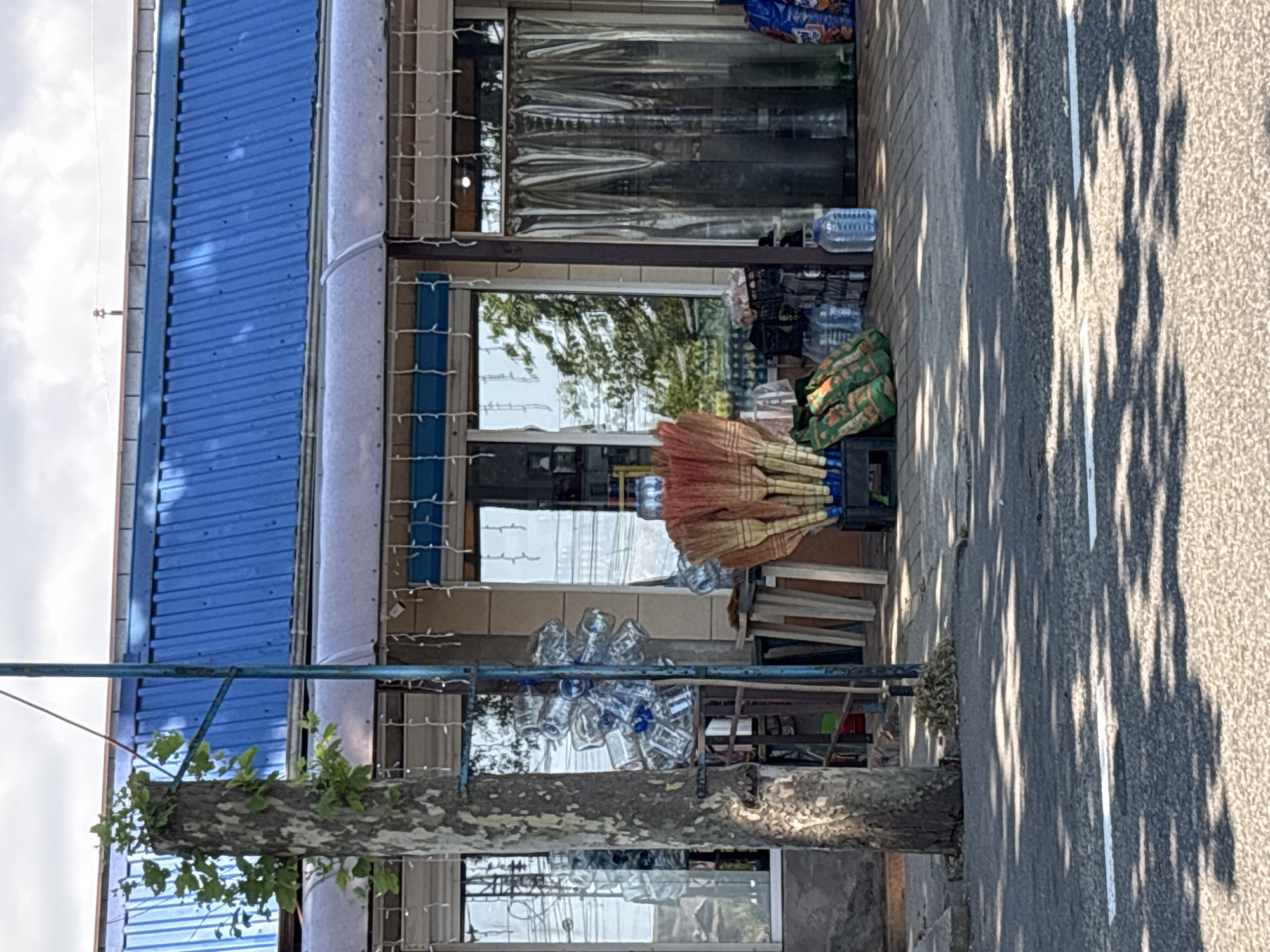 A storefront with a blue metal roof displays a variety of items for sale. In the foreground, a tree trunk with some greenery growing on it stands to the left, next to a blue metal pole. In front of the store, several plastic bottles are visible, along with a stack of brooms and what appear to be sleeping mats. Behind these items, windows and a clear plastic curtain reveal the interior of the store, where more bottles and crates are stacked. The ground in front of the store is paved, and the street in the foreground is asphalt with white lines. Shadows from the trees are cast across the street. The sky is cloudy.