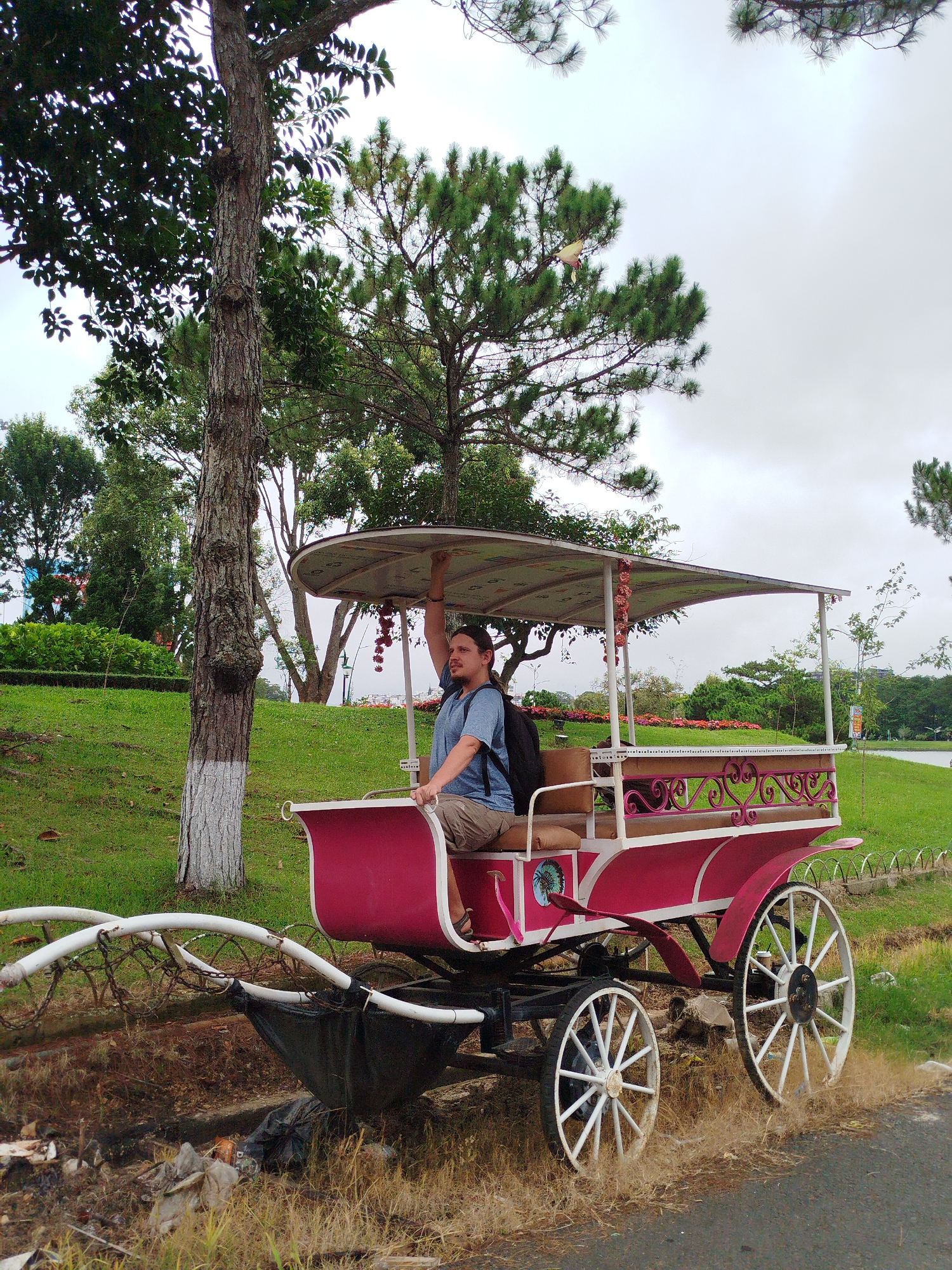A man sits in a pink and white carriage, holding his right arm up as if adjusting the canopy. The carriage has a fabric roof supported by metal poles and decorated with small red decorations. The man is wearing a blue t-shirt and tan shorts. He has a backpack on his shoulders. The carriage is parked on a dirt path next to a paved road, with dry grass and some trash on the ground. In the background, there is a lush green lawn with flowerbeds and trees. The overall setting appears to be a park or garden area. This scene is located in Da Lat, Vietnam, likely near a tourist attraction or recreational area.