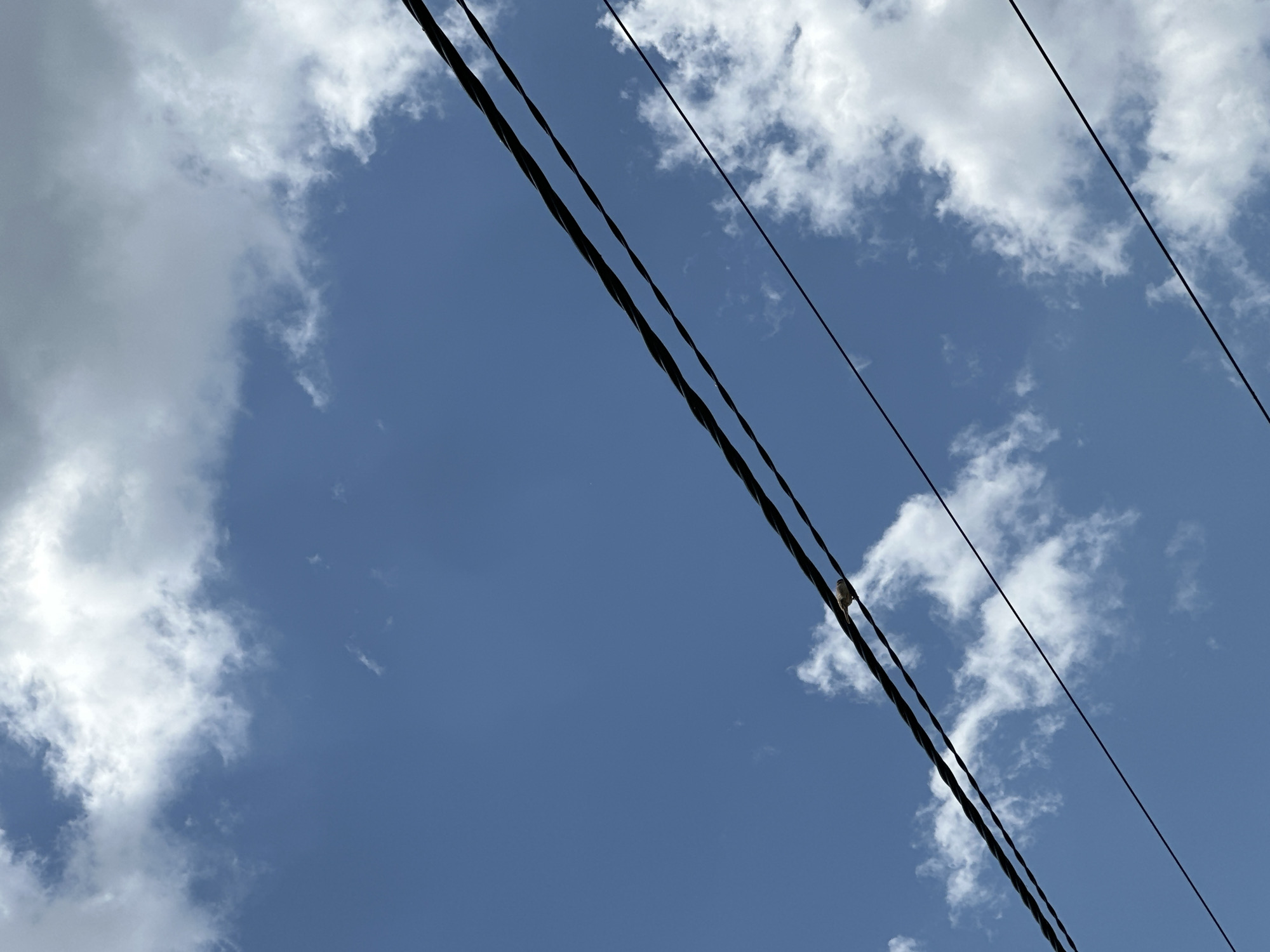 The image shows a view looking upwards towards a bright blue sky with scattered white clouds. Several black power lines diagonally traverse the frame from the upper left to the lower right. A bird is perched on one of the power lines. The location is implied to be Aprilovo, Bulgaria, but this detail is not visually verifiable within the image. No other people, subjects, objects, actions, or interactions are visible.