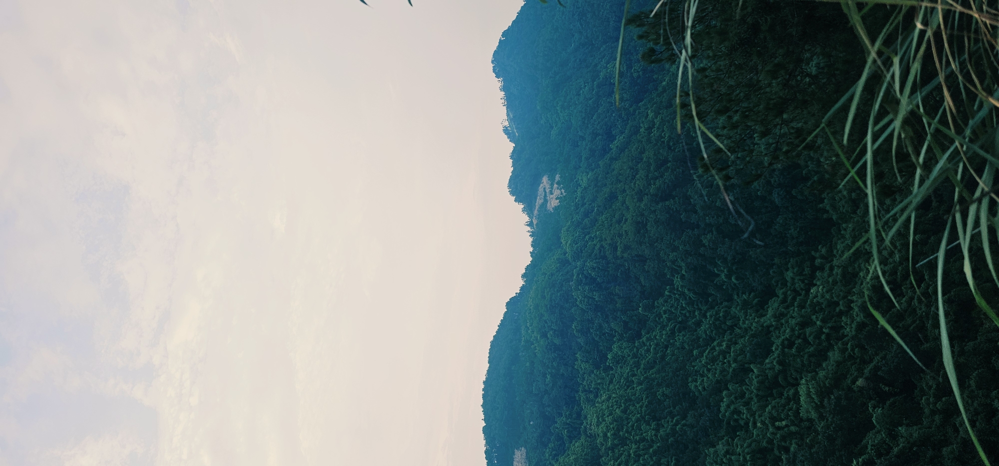 An aerial view captures a vast expanse of densely forested mountains under a pale sky. The mountains are covered in a deep emerald green foliage, with their undulating peaks creating a textured silhouette against the lighter tones of the sky. The sky itself is largely devoid of distinct clouds, exhibiting a soft, hazy gradient from a light cream color at the top to a pale pinkish hue near the horizon.
In the foreground, the tips of long, thin blades of grass or reeds are visible, their green stems and leaves slightly blurred, suggesting they are closer to the camera and out of focus. These elements frame the bottom right portion of the image, adding a sense of depth and perspective to the grand landscape beyond.
There are no visible people, animals, or man-made structures clearly discernible within the mountainous forest or the sky, except for faint, pale patches on the mountain slopes that might indicate cleared areas or man-made features. The overall impression is one of natural, untouched wilderness.
The image was taken in the city of Chongqing High-tech Zone, China.