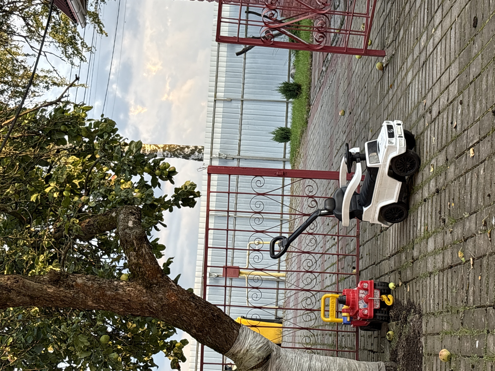 An outdoor, eye-level, full shot captures a paved yard with two ride-on toy cars, a red jeep, and a white Mercedes-Benz. Both toys are positioned near a red metal fence. The jeep, with its yellow handle, is on the left, while the white Mercedes-Benz is on the right, facing forward and equipped with a black steering wheel and seat. Apples are scattered on the ground, some are on the paved surface, while others are near the base of a large tree with green leaves and branches that extend towards the sky. The fence has decorative scrollwork. In the background, a white metal fence separates the yard from a grassy area with two small evergreen bushes. The sky above is partly cloudy. The scene is set in Levashovo, Russia.