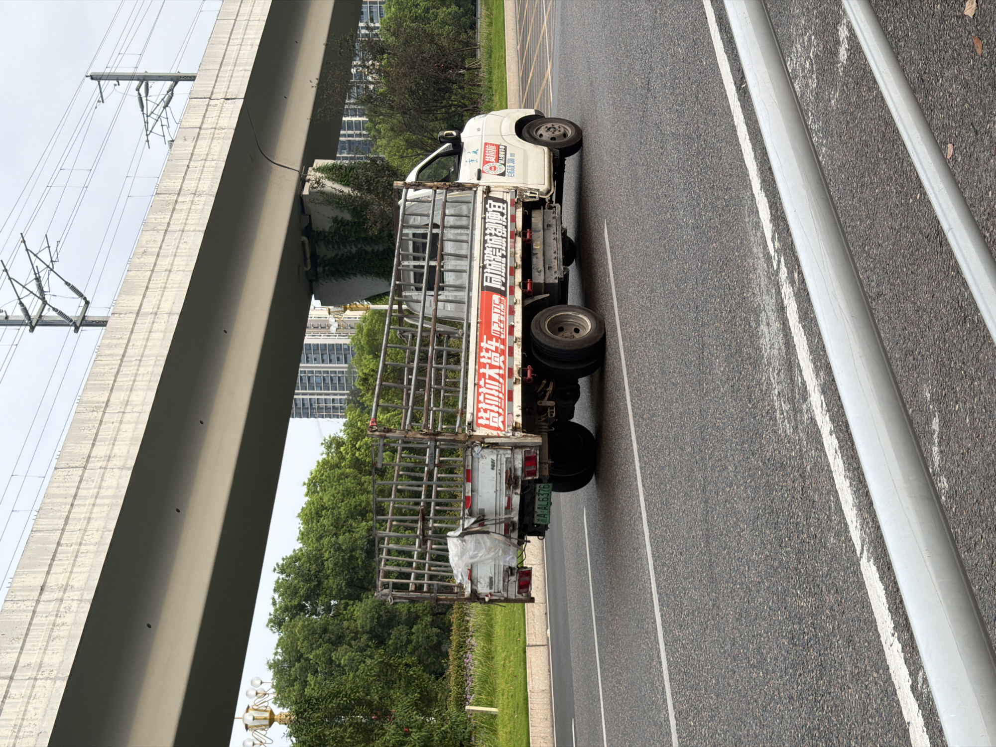 A white flatbed truck with a metal cage structure on its bed is driving on a paved road. The truck has red and white signage on its side. The license plate reads "A AL6376". The truck is positioned under an elevated concrete structure, likely a bridge or overpass, which has power lines attached to it. In the background, there are green trees, a lamppost, and tall buildings. The road has white lane markings. The scene appears to be in an urban or suburban area in Jiangjin, China.