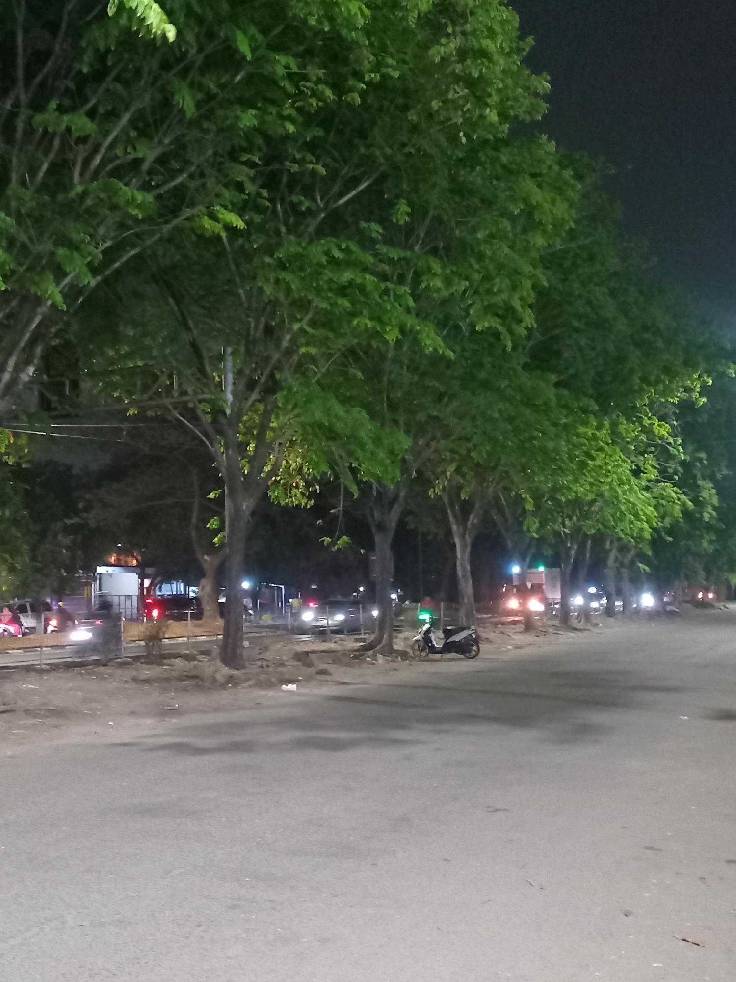 The image depicts a street scene at night in Sedati Agung, Indonesia, characterized by a row of trees with lush green foliage lining the side of a paved road. The trees are illuminated by artificial light, creating a dappled effect on the ground and the road. Several vehicles are visible on the road, including cars and a motorcycle parked on the left side. The presence of streetlights and the illuminated vehicles suggest it is an urban or suburban environment. The overall atmosphere is calm and quiet, typical of a street at night.