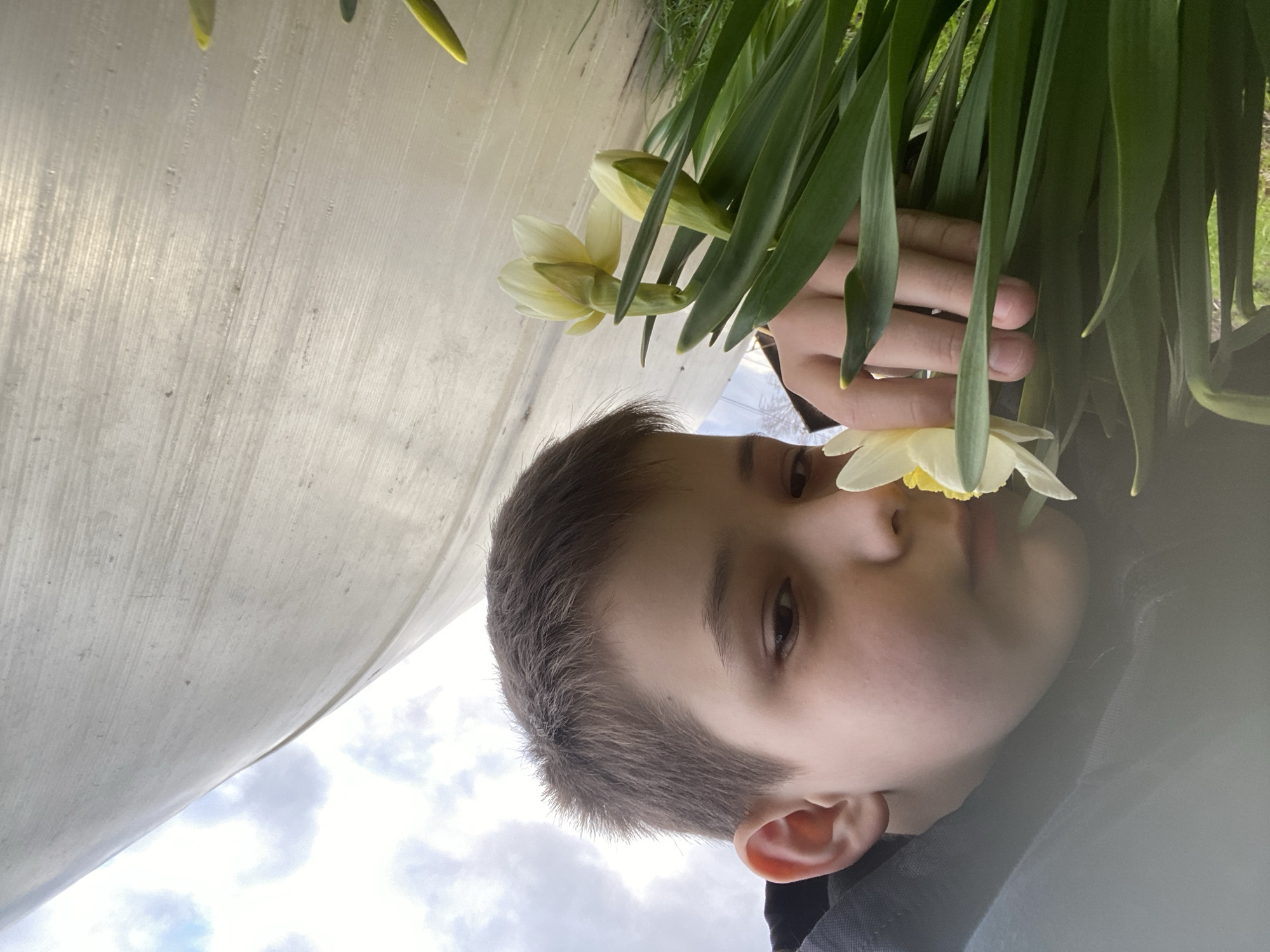 The original image is rotated 90 degrees counter-clockwise. When viewed upright, this close-up outdoor photograph, taken in Chaikovsky, Russia, captures a young boy interacting with daffodils under an overcast sky.
The boy, with short dark hair and dark eyes, is positioned in the lower right portion of the frame, looking directly at the camera with a calm and slightly curious expression. A light yellow daffodil is held or positioned very close to his face, suggesting he is smelling or examining the flower. His left hand is partially visible among the lush green, sword-like leaves of the daffodil plants.
In the upper left quadrant of the image, a textured, light-colored fabric or canvas structure, possibly a greenhouse cover or awning, stretches diagonally across the frame. Below this structure, a cloudy sky with varying shades of white and grey indicates an overcast or partly cloudy daytime. The right side of the image is filled with the dense green foliage of the daffodil plants. The scene conveys a gentle moment of connection with nature. No text is visible in the image.