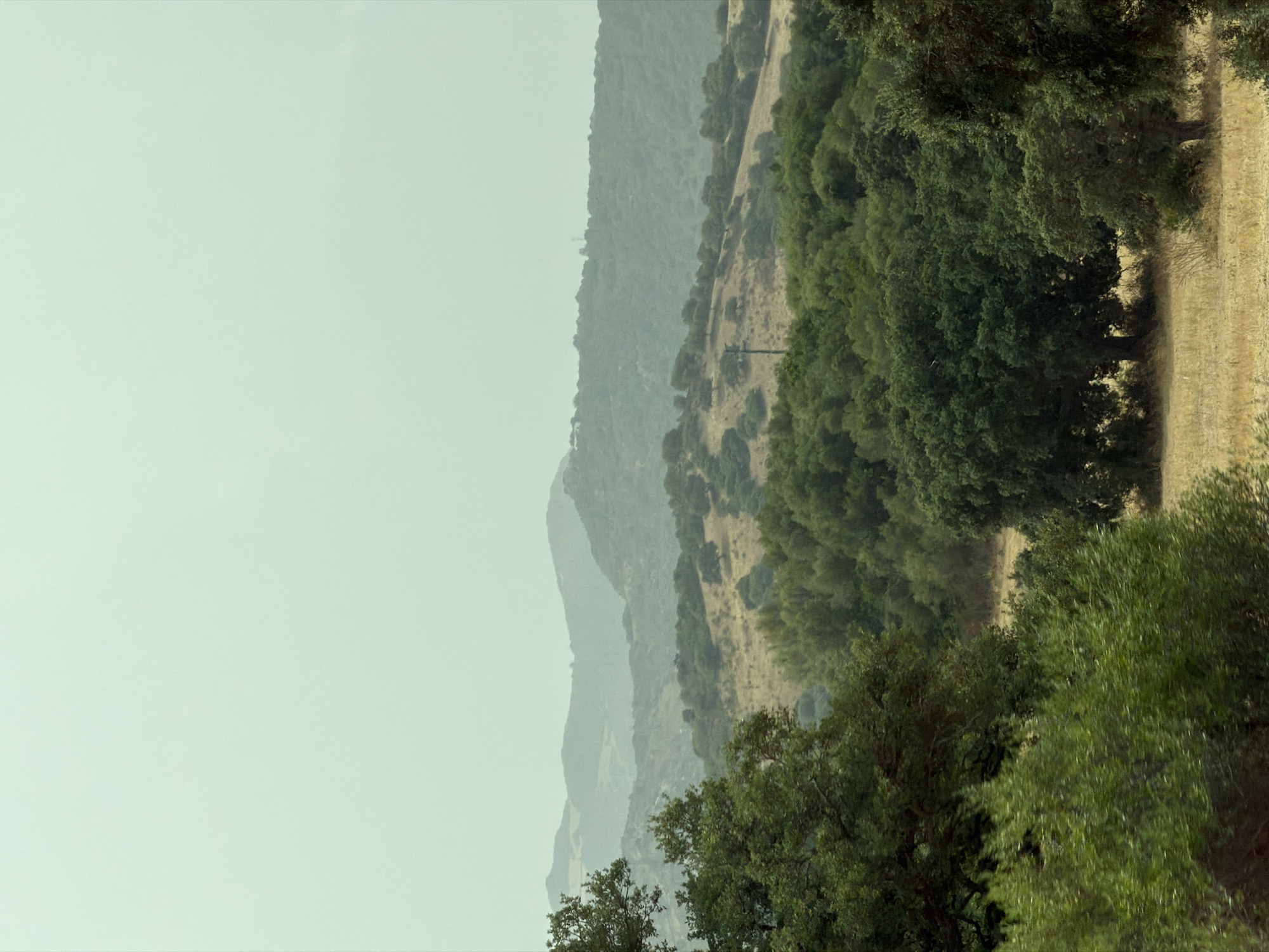 The image depicts a hazy, bucolic landscape dominated by rolling hills covered in dense, varied greenery. In the foreground, lush trees with deep green foliage are prominent, with some appearing slightly blurred as if captured in motion. Beyond these, the terrain rises, transitioning to lighter green and golden-brown patches, suggesting dry grass or scrubland interspersed with trees and bushes. Distant hills fade into the atmospheric haze, forming layered silhouettes against a pale, overcast sky. A solitary, thin pole, possibly a utility pole, is visible on a mid-ground hill. The overall scene conveys a sense of rural tranquility and natural beauty. The location is identified as being in the vicinity of Olbia, Italy.