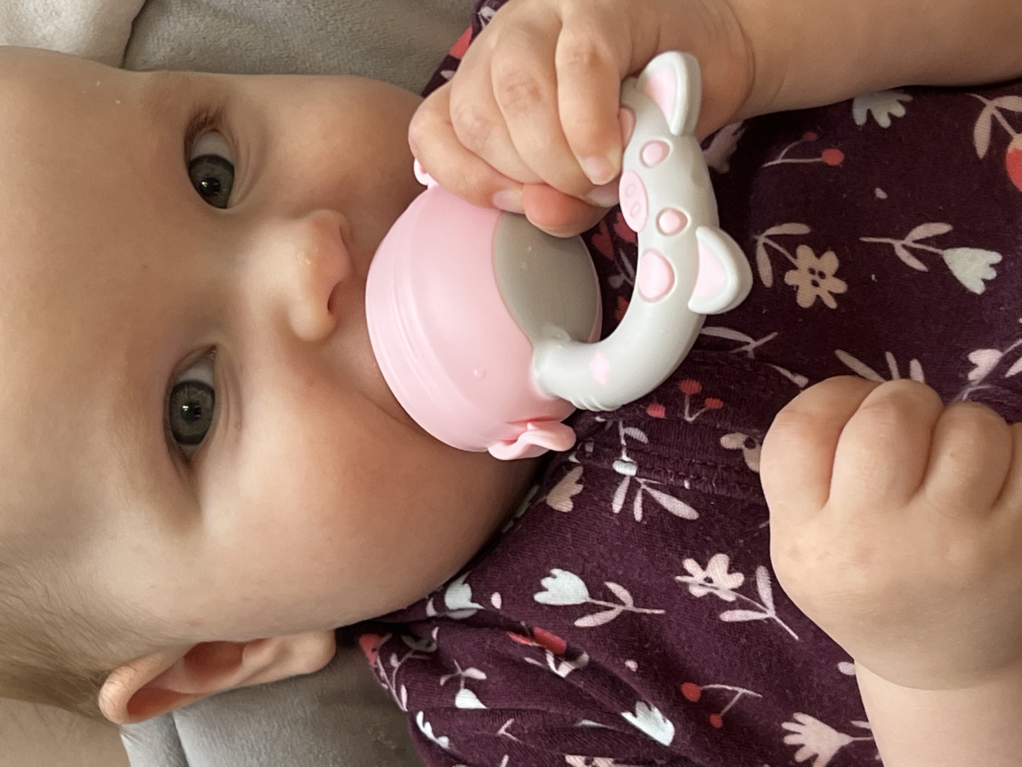 An infant is observed in a close-up, head-on perspective, situated in the city of Chaikovsky, Russia. The baby, with fair skin and light-colored eyes, wears a dark purple garment patterned with white, light pink, and red floral motifs. Their left hand grips a pink and grey animal-shaped feeder, which is positioned in their mouth. The feeder's grey handle displays pink circular accents and two ear-like protrusions. The infant's right hand is curled into a fist, resting on their chest. The immediate environment consists of a soft, light grey surface, out of focus behind the subject.