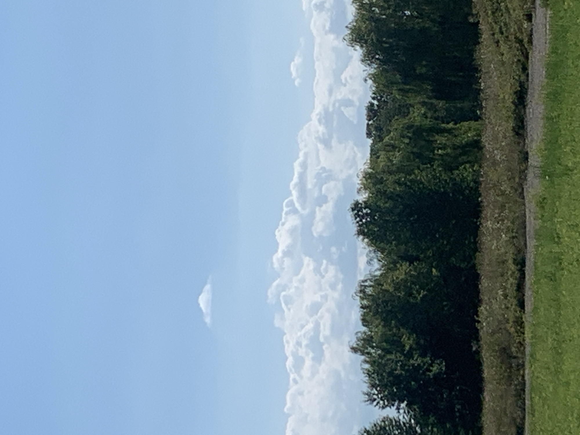 The image depicts a bright, clear sky with scattered clouds above a line of dense green trees. The trees form a dark, horizontal band across the middle of the frame, with variations in height and density. Below the trees, a strip of brush and vegetation is visible, leading to a blurred foreground of green grass. The overall scene is natural and open, suggesting an outdoor environment, potentially a park or the outskirts of a rural area. The time of day appears to be daytime, indicated by the bright sky and sunlight. There are no people or specific man-made structures clearly visible in the image.