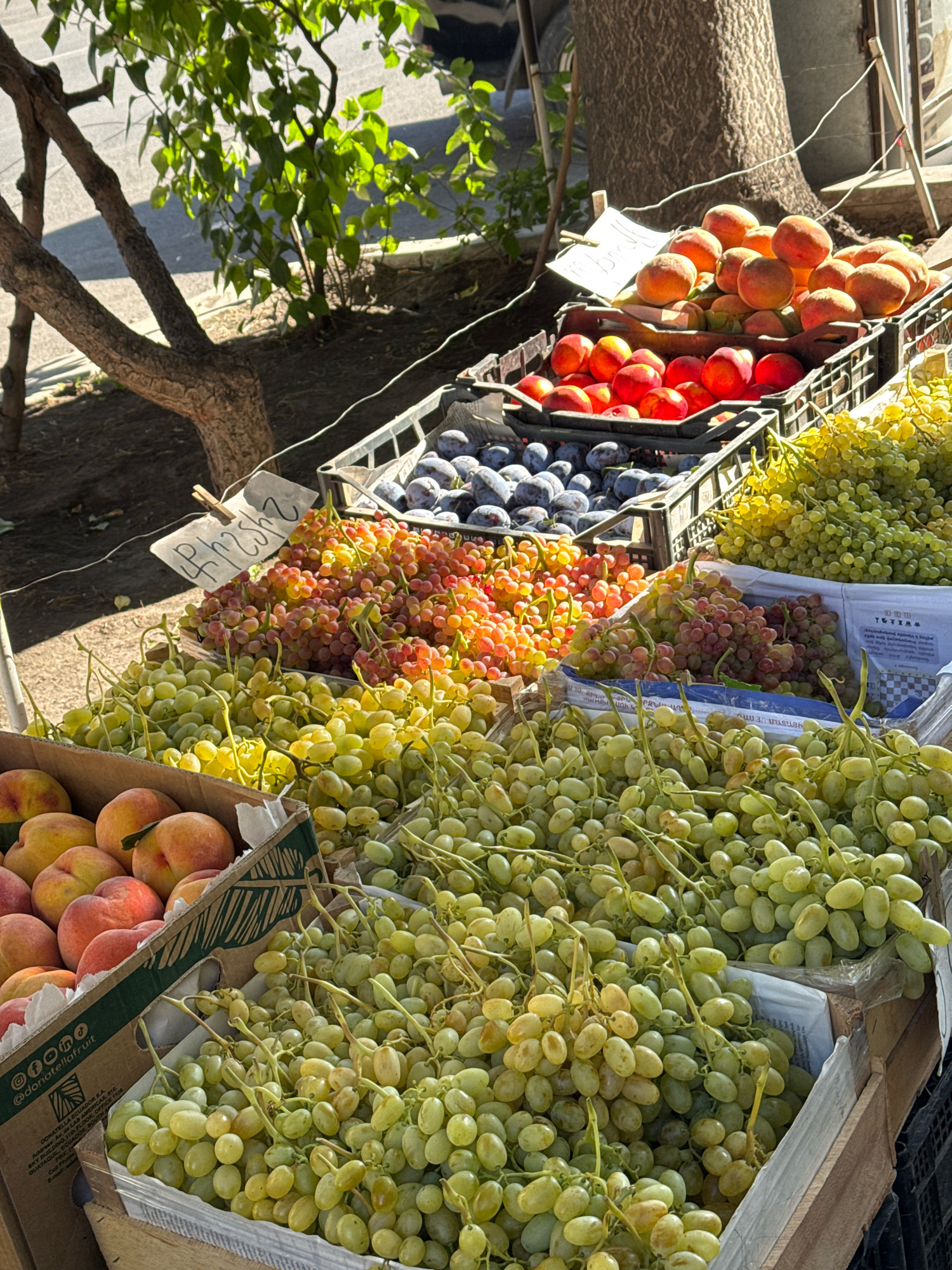 This image depicts a fruit stand displaying a variety of fresh fruits, likely in an outdoor market setting. Located in the city of Yerevan, Armenia, the scene captures a vibrant selection of produce arranged in crates. Prominently featured are bunches of green and red grapes, as well as ripe peaches and plums. The fruits are densely packed, suggesting they are ready for sale. The background reveals natural elements like tree trunks and branches with green leaves, hinting at an outdoor environment bathed in sunlight, with shadows cast by the foliage. The overall impression is one of abundance and freshness, characteristic of a local marketplace.