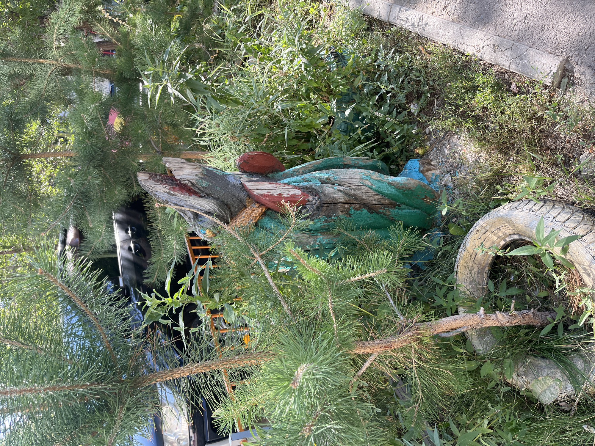 The image depicts a wooden sculpture resembling a creature with its mouth open, partially covered in peeling green and red paint, situated amidst dense greenery. A young pine tree, with its needles casting shadows, partially obscures the sculpture. In the background, a black vehicle is visible behind an orange fence. The ground is covered with grass, dirt, and what appears to be a discarded tire. The scene is outdoors, with a concrete curb on the right side of the frame, suggesting it is near a road or walkway. The lighting indicates it is daytime. The location is identified as Astana, Kazakhstan.