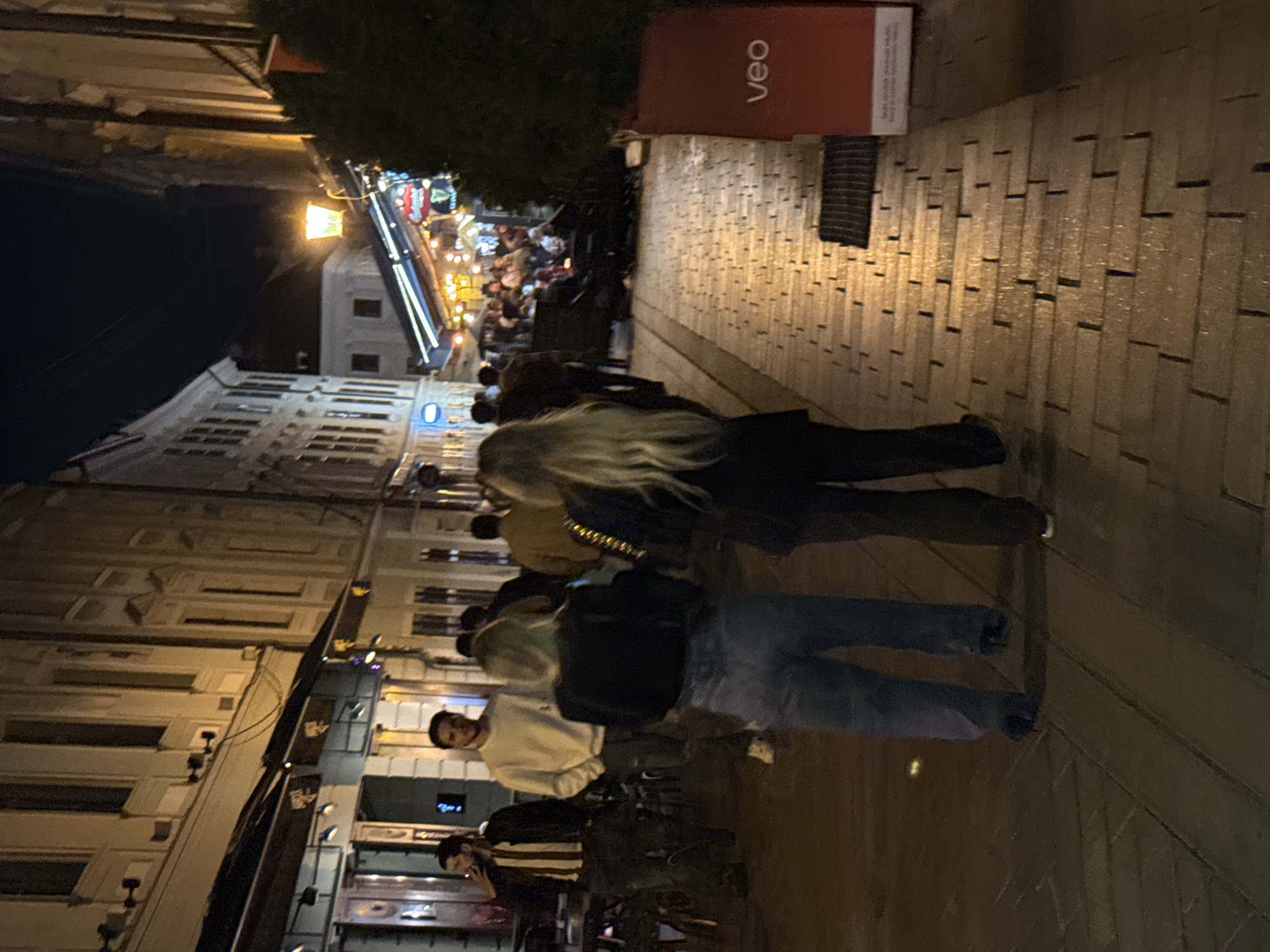 This image captures a street scene at night in Bratislava, Slovakia, likely on a pedestrianized street with buildings lining both sides. The overall lighting is dim, with artificial lights from street lamps, building facades, and possibly outdoor dining areas creating a warm glow on the wet cobblestone pavement.
In the foreground, two individuals are walking away from the camera. The person on the left has long blonde hair and is wearing a dark jacket and blue jeans. The person on the right has dark hair and is wearing a dark jacket and dark pants. Further into the street, there are more people, some of whom appear to be sitting at outdoor tables, suggesting the presence of restaurants or bars. The buildings on the left have awnings and illuminated signs, contributing to the lively atmosphere. On the right, a large red advertisement bin with the "veo" logo is visible, along with a dense green bush. The architecture of the buildings appears to be old European style, with multiple floors and windows.