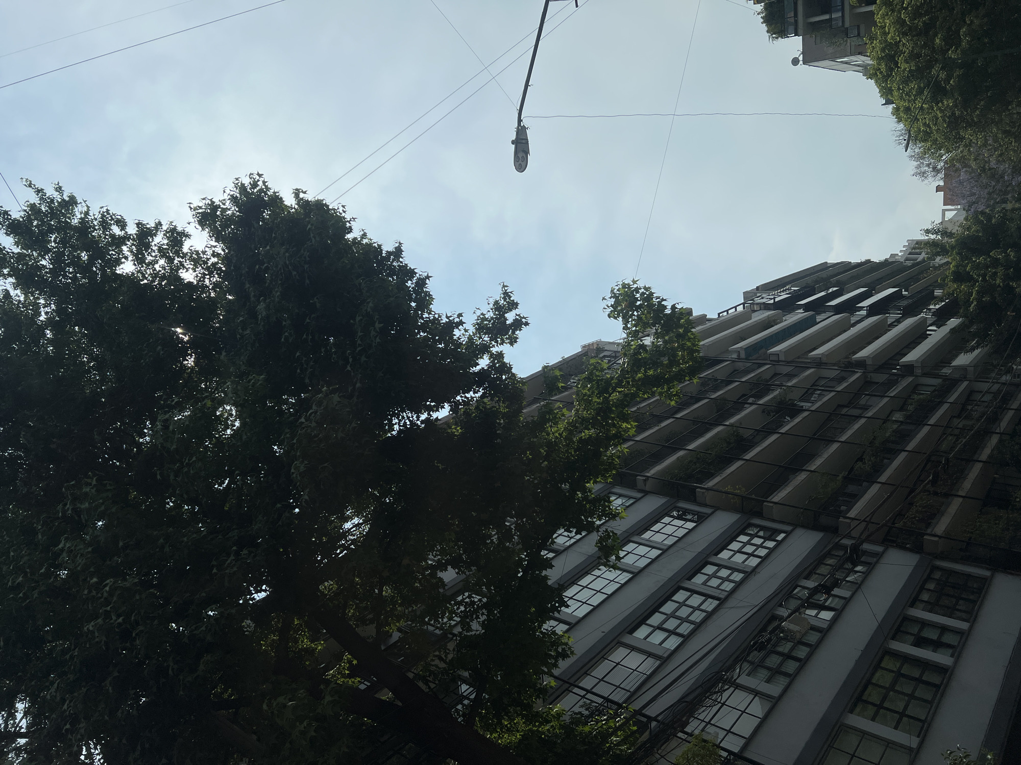 The image shows a low-angle view of a building in Mexico City, Mexico. The building has multiple stories and a facade with a pattern of windows and cantilevered balconies. The balconies have greenery growing on them. To the left of the building is a large tree with dense foliage. Overhead, there are utility lines and a street light suspended by cables. The sky is visible in the background, partially obscured by the tree.