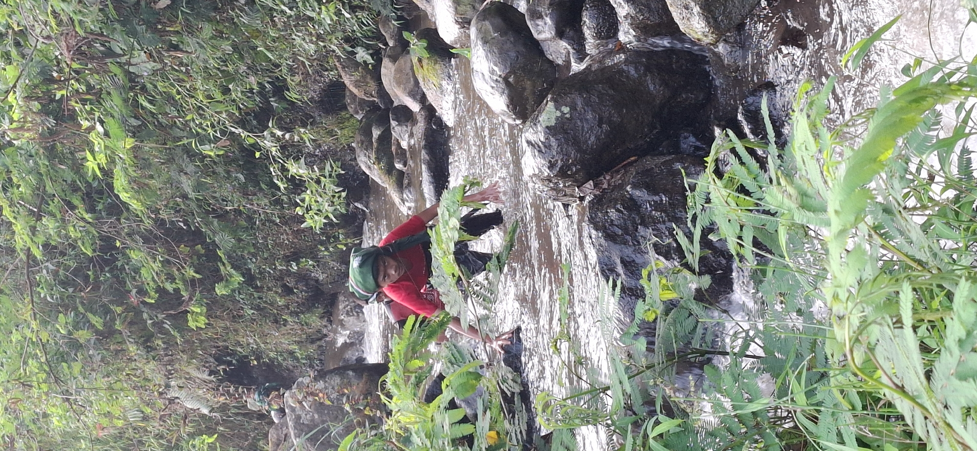 In the city of Puntukrejo, Indonesia, two individuals are navigating a shallow, rocky stream amidst dense green foliage and vegetation. The person in the foreground, wearing a red shirt and a green head covering, is actively wading through the water, with hands extended forward to steady themselves against submerged rocks. They are carrying a backpack. Behind them, another person, also appearing to be carrying a backpack, is partially visible, following the same path through the stream. The water is clear with visible ripples and reflects the surrounding greenery and rocks. The environment suggests a natural outdoor setting, possibly a hiking trail or a rural area with a watercourse. The rocks are of various sizes, some smooth and rounded, others jagged. The vegetation, predominantly green leaves and branches, frames the scene, indicating a lush and possibly humid environment.