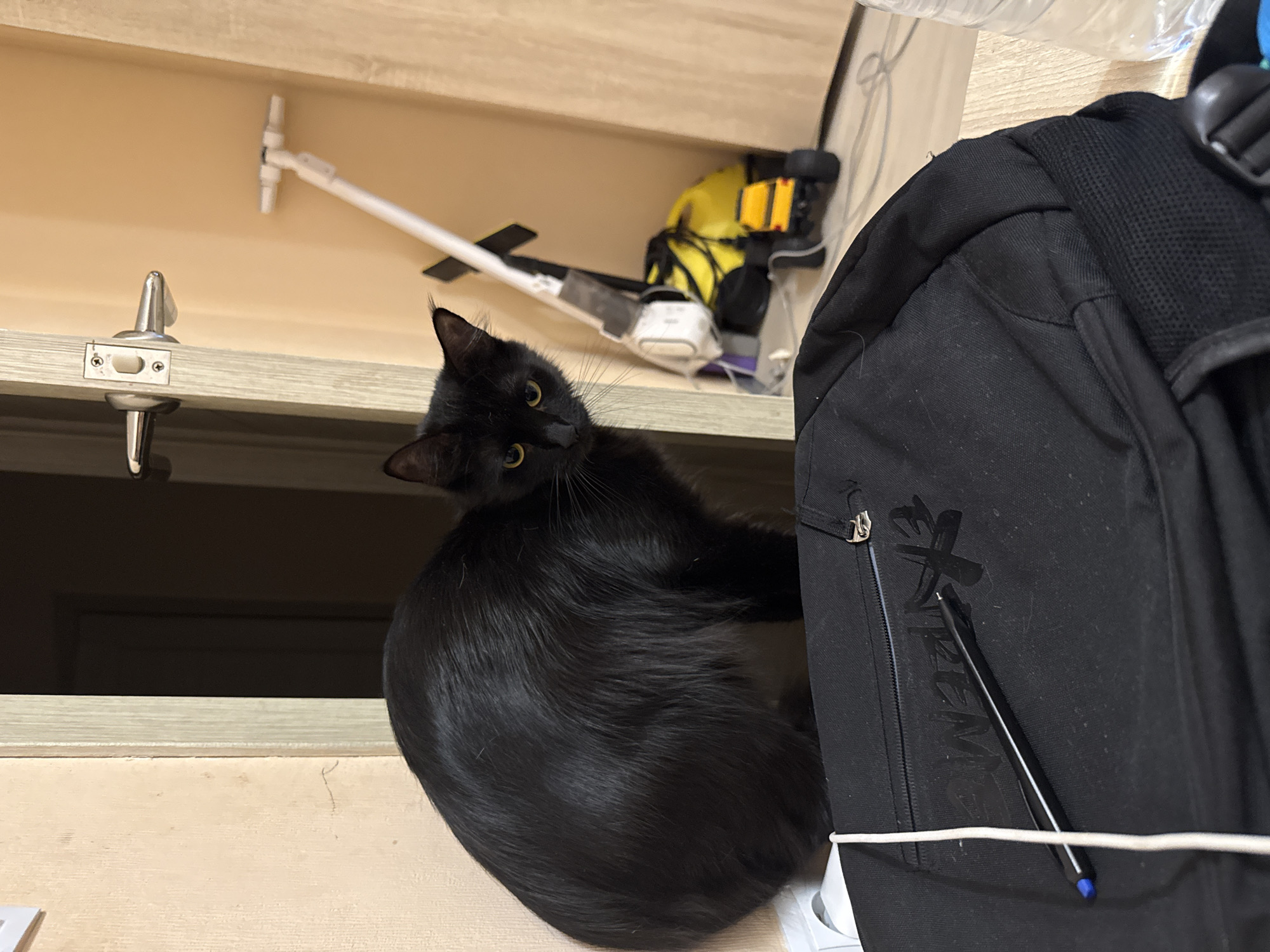 A black cat with vibrant yellow eyes looks directly at the viewer, its head slightly tilted, from a raised surface. The cat is positioned on a light-colored wooden or laminate shelf, with its body facing away from the camera and its head turned back. To the right of the cat is a black fabric backpack. The backpack features a visible zipper and a partially obscured black logo or text that reads "XTREME" on its side. A black pen with a blue tip is tucked into a strap or pocket of the backpack.
In the background, above the cat, several shelves are visible. On an upper shelf, a white and yellow cleaning device, possibly a handheld vacuum or an attachment, rests. A silver-colored latch or hook mechanism is affixed to another light-colored wooden surface in the mid-ground. The area below the cat's shelf appears dark, suggesting an open space or a lower level. A clear plastic bottle is visible at the very top edge of the frame. The overall scene depicts an indoor setting, likely a home storage area or room, with soft, diffused lighting. The cat's expression conveys curiosity and alertness. The location context is Tobolsk, Russia.