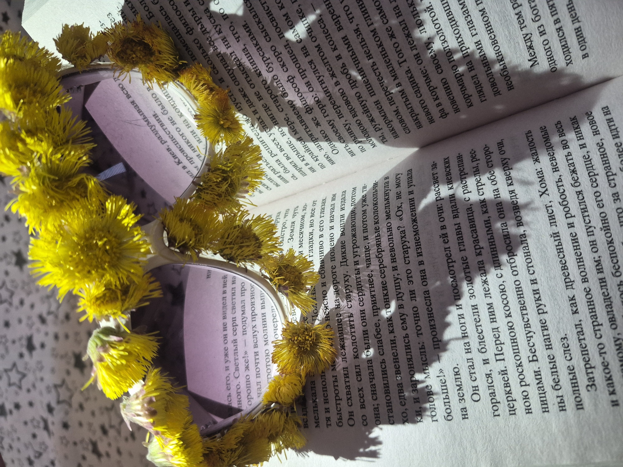 A brightly lit, overhead shot captures a still life featuring an open book, a pair of sunglasses, and numerous yellow flowers. The book, displaying text in Russian, lies open on a light-colored surface with a subtle patterned design. A pair of sunglasses with a slightly purple tint to the lenses is placed on the left page. Surrounding and partially covering the sunglasses and parts of the pages are vibrant yellow flowers, resembling dandelions or colt's-foot, suggesting a spring setting.
The visible Russian text details a dramatic narrative, strongly indicating a passage from Nikolai Gogol's "Viy." Key phrases and names include "Киев" (Kyiv), "Хома" (Khoma), "философ" (philosopher), "старуху" (old woman), and "красавица" (beautiful woman). The story describes Khoma Brut's encounter with an old woman, her transformation into a beautiful woman amidst the golden domes of Kyiv's churches at sunrise, and his subsequent fear and flight. The text also mentions "бурсаками" (seminarians) and an innkeeper, further aligning with the novella's context. The strong, possibly natural, light casts shadows, adding depth to the composition. The overall scene blends literature with natural elements in a thoughtful arrangement.