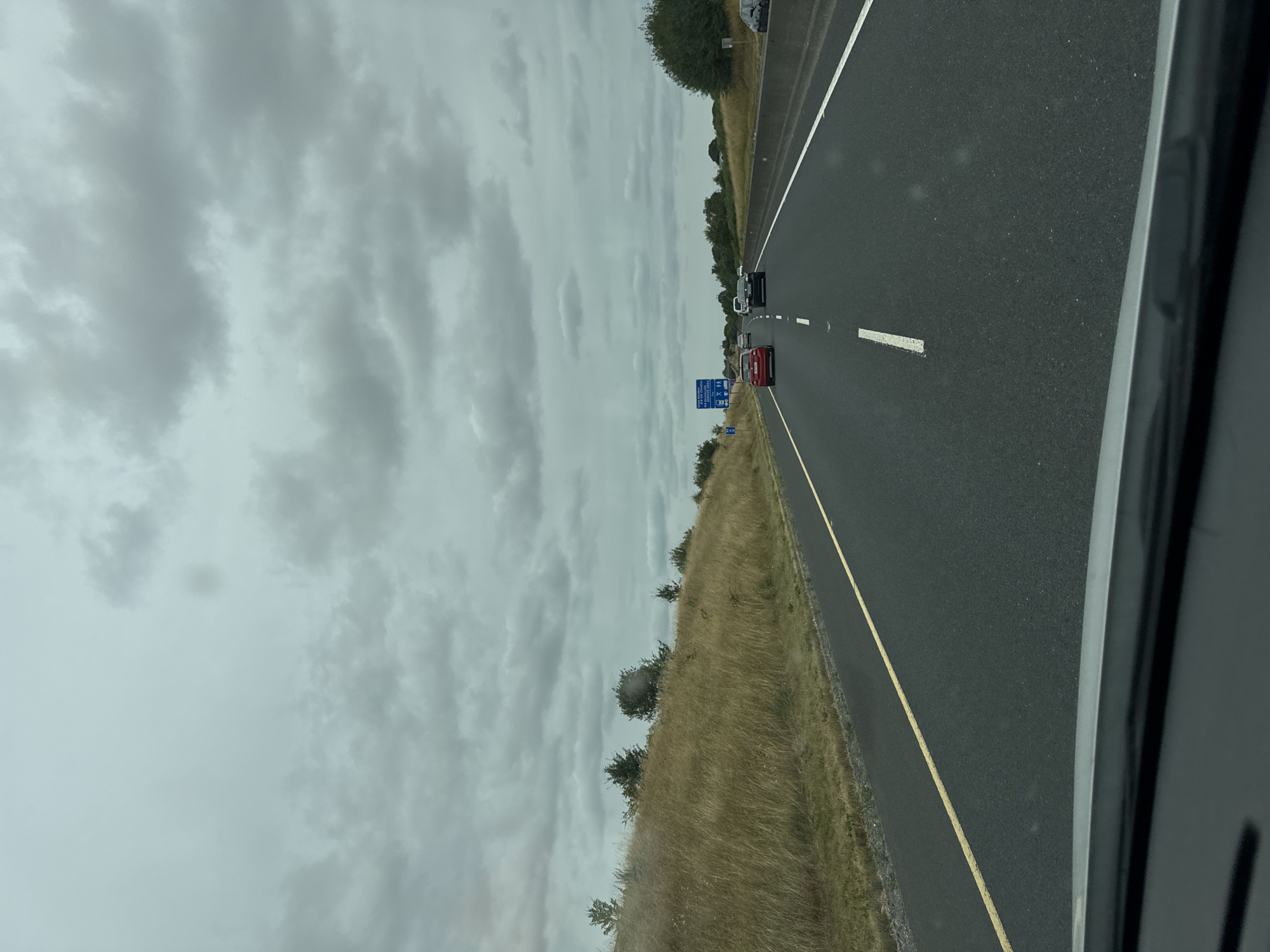 The image is a point-of-view shot from inside a vehicle traveling on a highway. The road is paved asphalt with a yellow line on the left and white dashed lines separating lanes. The sky is overcast with a heavy cloud cover. To the left of the road, a grassy embankment covered in dry, tall grass slopes upwards, with some scattered trees on top. To the right, there is a concrete barrier and more greenery. Several cars are visible on the highway ahead. On the left side of the road, a blue sign with white text is visible, indicating "NEXT SERVICES 5 MILES" and depicting symbols for food, fuel, and toilets. The scene appears to be in a rural or semi-rural area. The image is consistent with a location on a major road in Ireland, possibly near Kilgowan Cottages, given the characteristic landscape and road signage.
