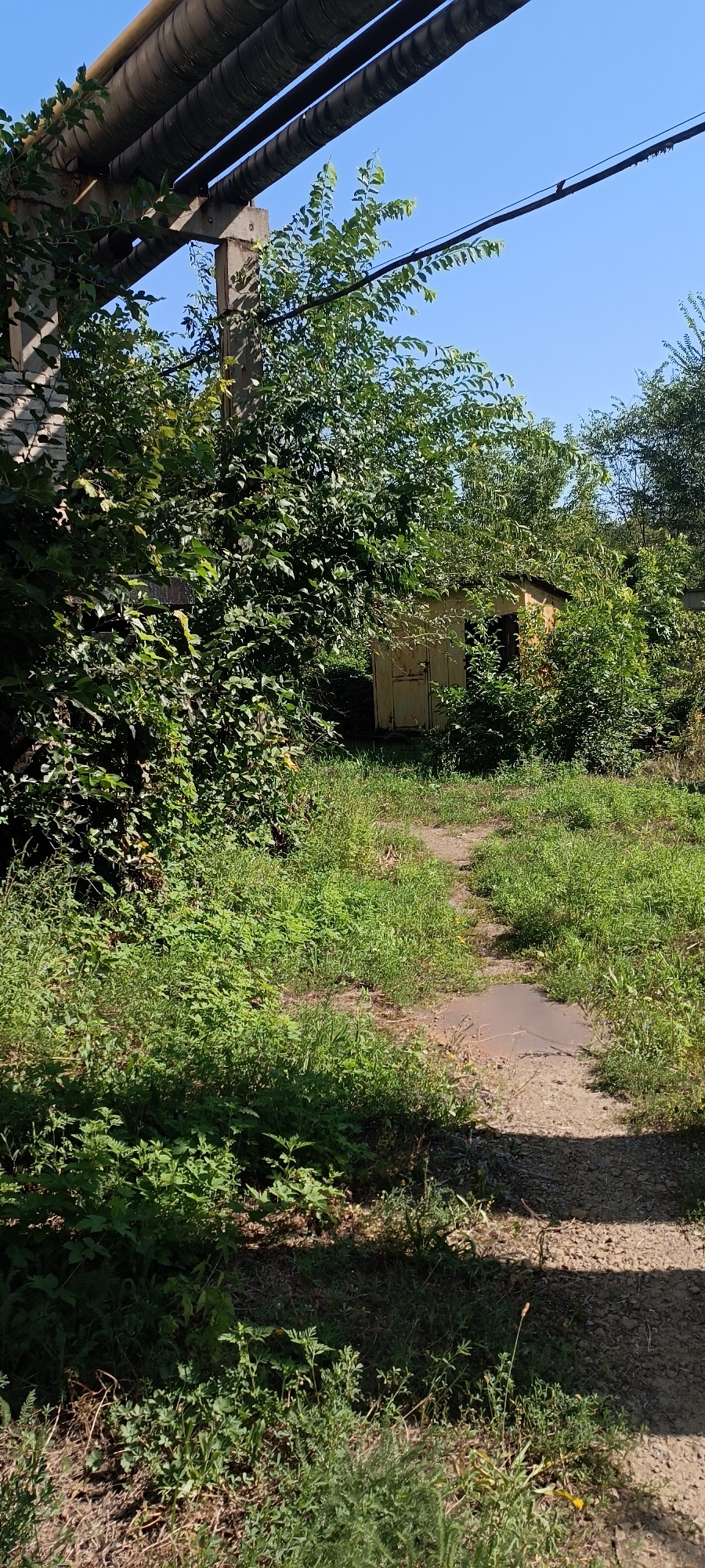 The image depicts an outdoor scene with lush green vegetation and a clear blue sky. In the foreground, a path of gravel and patchy concrete winds through overgrown grass. To the left, a section of a weathered brick wall is visible, partially obscured by dense foliage. Above, a series of large, insulated pipes are supported by a concrete pillar and run parallel to each other. Towards the right and slightly further back, a small, weathered yellow shed with a double door stands nestled amongst the trees and bushes. The shed appears to be in disrepair, with some of its paint peeling. Sunlight casts shadows across the path and the surrounding vegetation, indicating it is daytime. The environment appears overgrown and somewhat neglected, suggesting a rural or industrial fringe location. No people are visible in the scene.