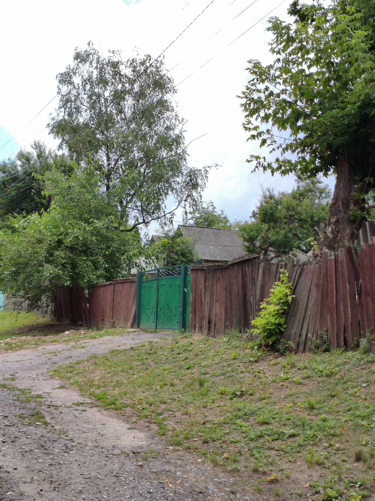 The image depicts a rural scene in Ustyvytsia, Ukraine, featuring a dirt road leading to a property enclosed by a weathered wooden fence. A vibrant green metal gate stands open, offering a glimpse of what lies beyond. Lush green trees and foliage surround the area, with power lines visible overhead against a cloudy sky. The overall impression is one of a rustic, lived-in space, typical of a Ukrainian village.