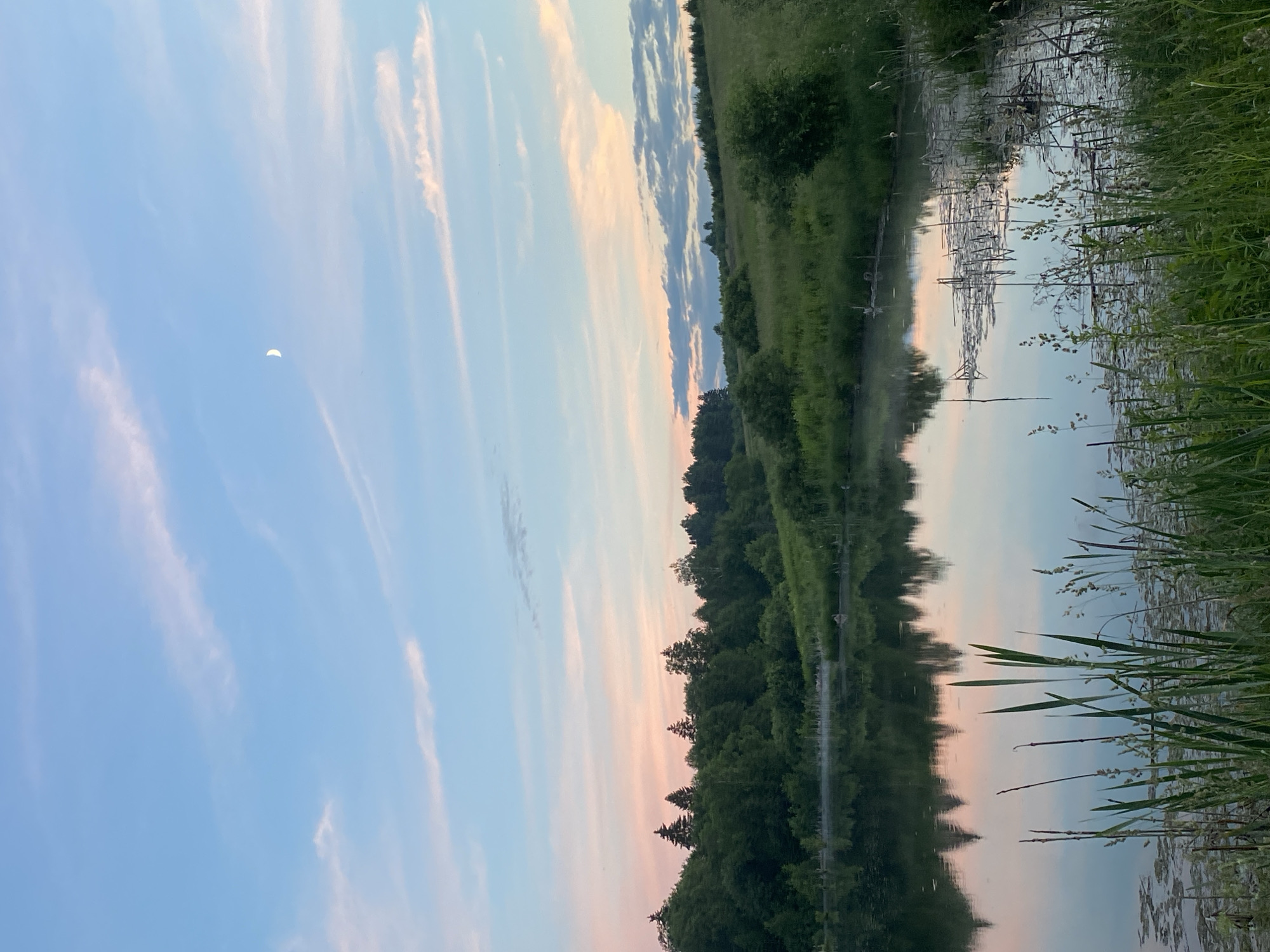 This image depicts a serene natural landscape, likely a rural area near Вассята, Russia. The scene is dominated by a tranquil body of water in the foreground, reflecting the soft hues of a twilight sky. The sky itself is a gradient of pale blue and soft pink, streaked with wispy clouds, and a crescent moon is visible.
The water's edge is fringed with tall, green reeds and grasses, some of which extend into the frame, creating a natural border. Patches of aquatic vegetation float on the surface of the water.
Beyond the water, a dense line of lush green trees forms a dark silhouette against the sky. The trees vary in height and density, suggesting a mixed forest. The terrain behind the trees appears to be gently rolling hills covered in green grass and scattered bushes, indicative of meadows or fields. The overall impression is one of peaceful solitude and natural beauty, characteristic of the Russian countryside during the evening hours. There are no people or animals visible in the image.