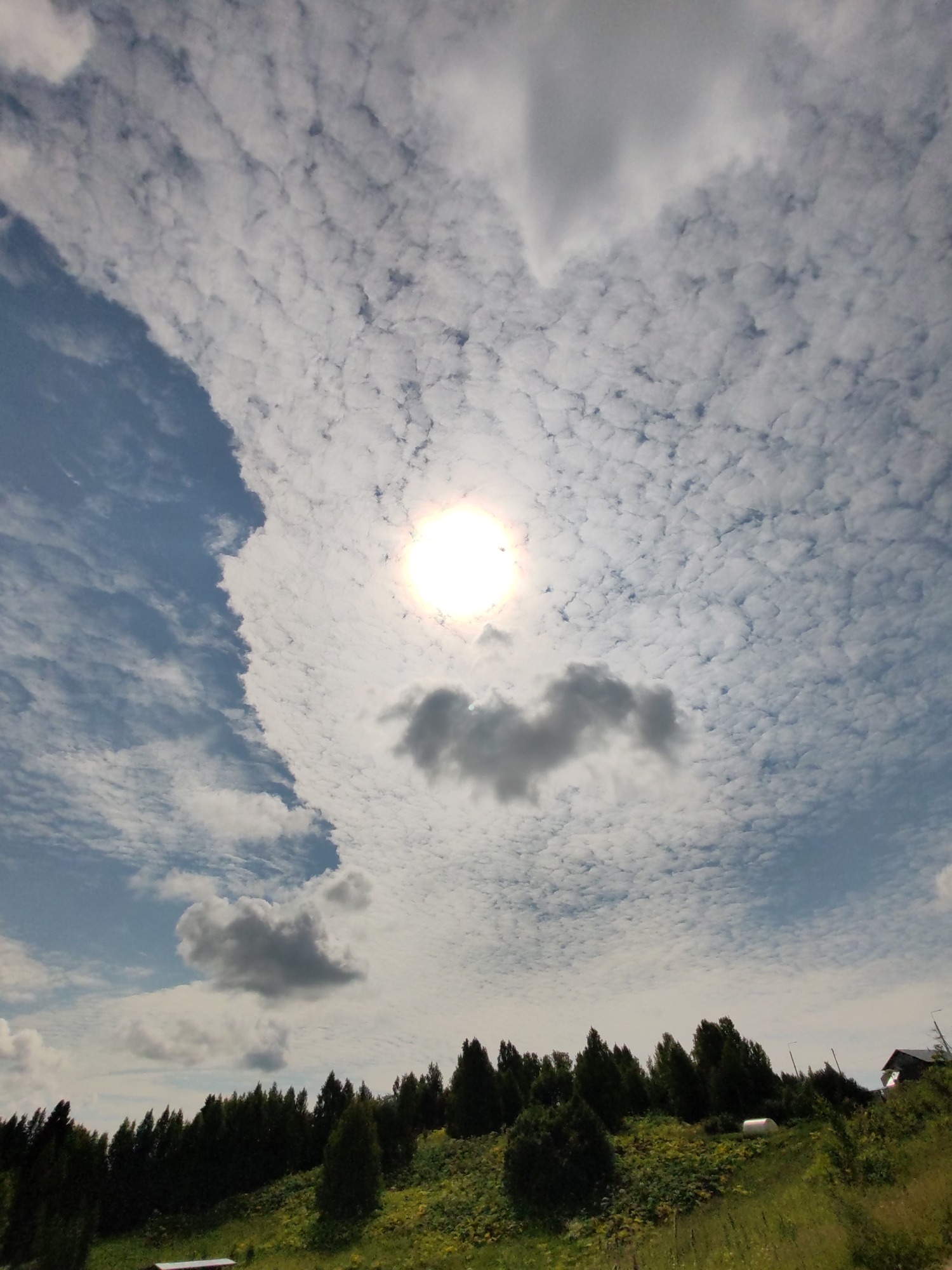 The image depicts a landscape in Чухлэм, Russia, under a partially cloudy sky. The sun is bright and visible, casting rays through scattered clouds. A distinct cloud formation resembling a heart shape is prominent in the sky. Below the sky, a line of dark green coniferous trees stretches across the horizon. The ground in front of the trees is a grassy slope dotted with yellow flowers, suggesting a rural or natural setting. In the foreground, there are hints of a bench and some vegetation. The overall scene conveys a natural, outdoor environment with a focus on the sky and the treeline.