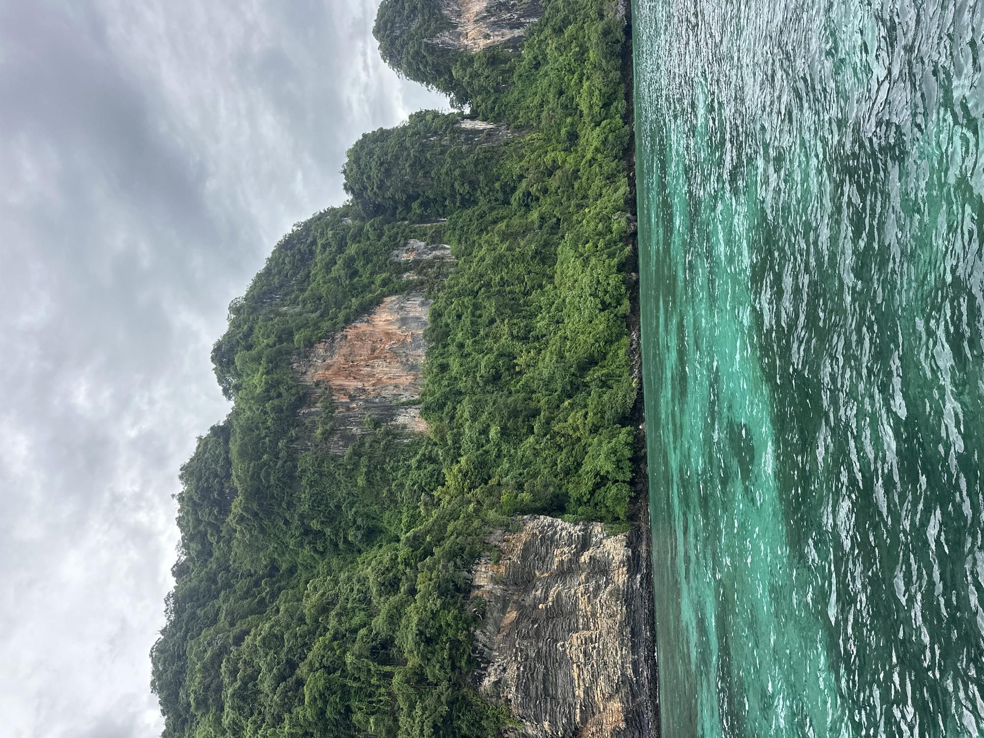 A high-angle, medium shot captures the vibrant turquoise waters and lush green karst cliffs of Ao Nang, Thailand. The scene, viewed from a boat, showcases the dramatic geological formations that characterize the coastline. The water is clear, revealing sandy patches beneath the surface, and gentle ripples distort the light. The cliffs, covered in dense vegetation, rise steeply from the water's edge, with exposed rock faces showing layers of sediment. The sky above is overcast with a light gray cloud cover, casting a soft light on the landscape. No people or man-made structures are visible, emphasizing the natural beauty of the location.