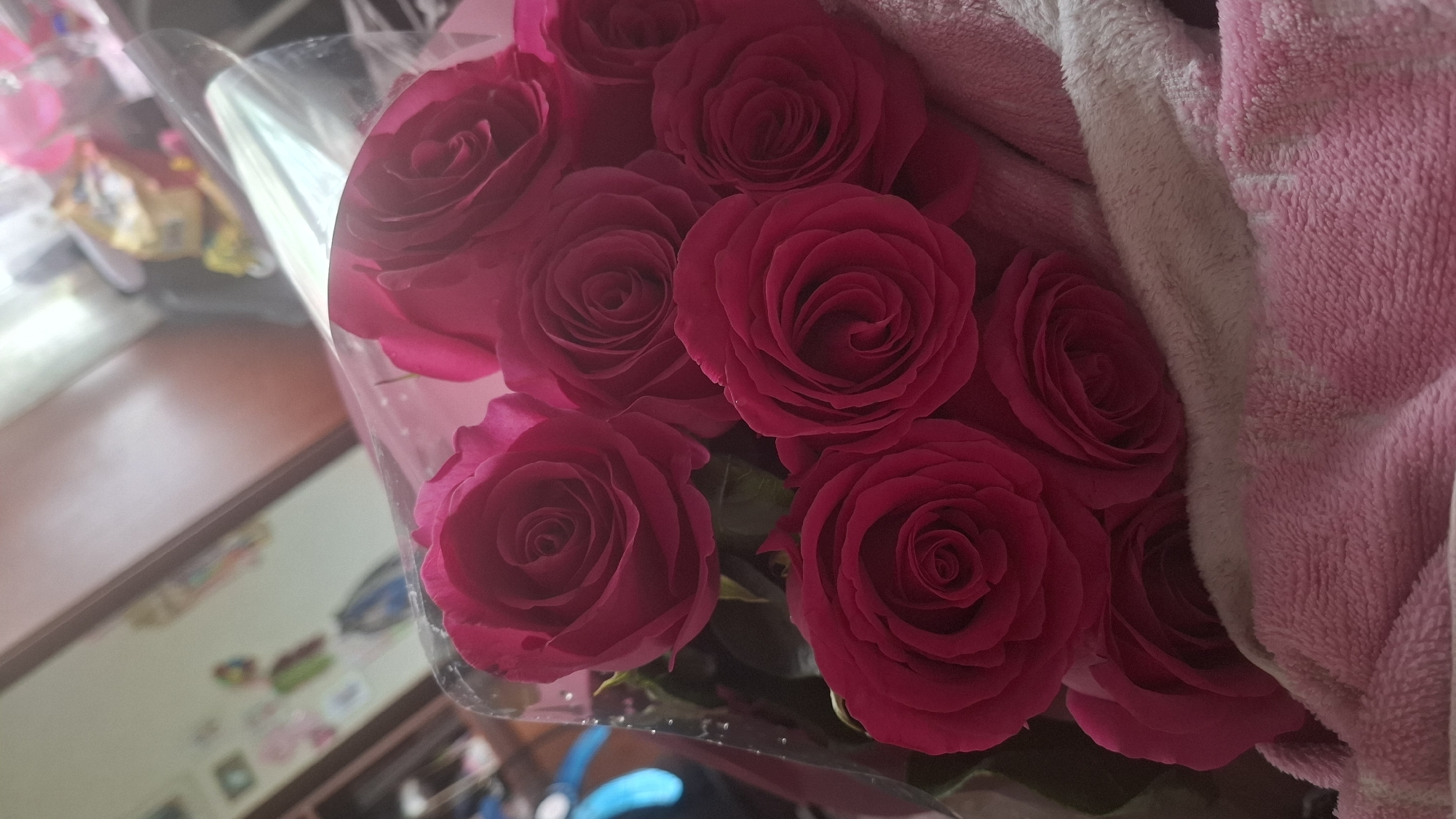 A bouquet of dark pink roses is displayed in a clear plastic wrapper, resting on a pink fuzzy blanket. The roses are the main focus, with their petals tightly curled in the center. In the background, a blurred room setting is visible, suggesting an indoor environment. The lighting is soft, creating a warm glow around the flowers. There are no people or animals visible in the image. The scene is still and posed, with no discernible action taking place. The location in Shymkent, Kazakhstan is not evident from the visual information in the image.