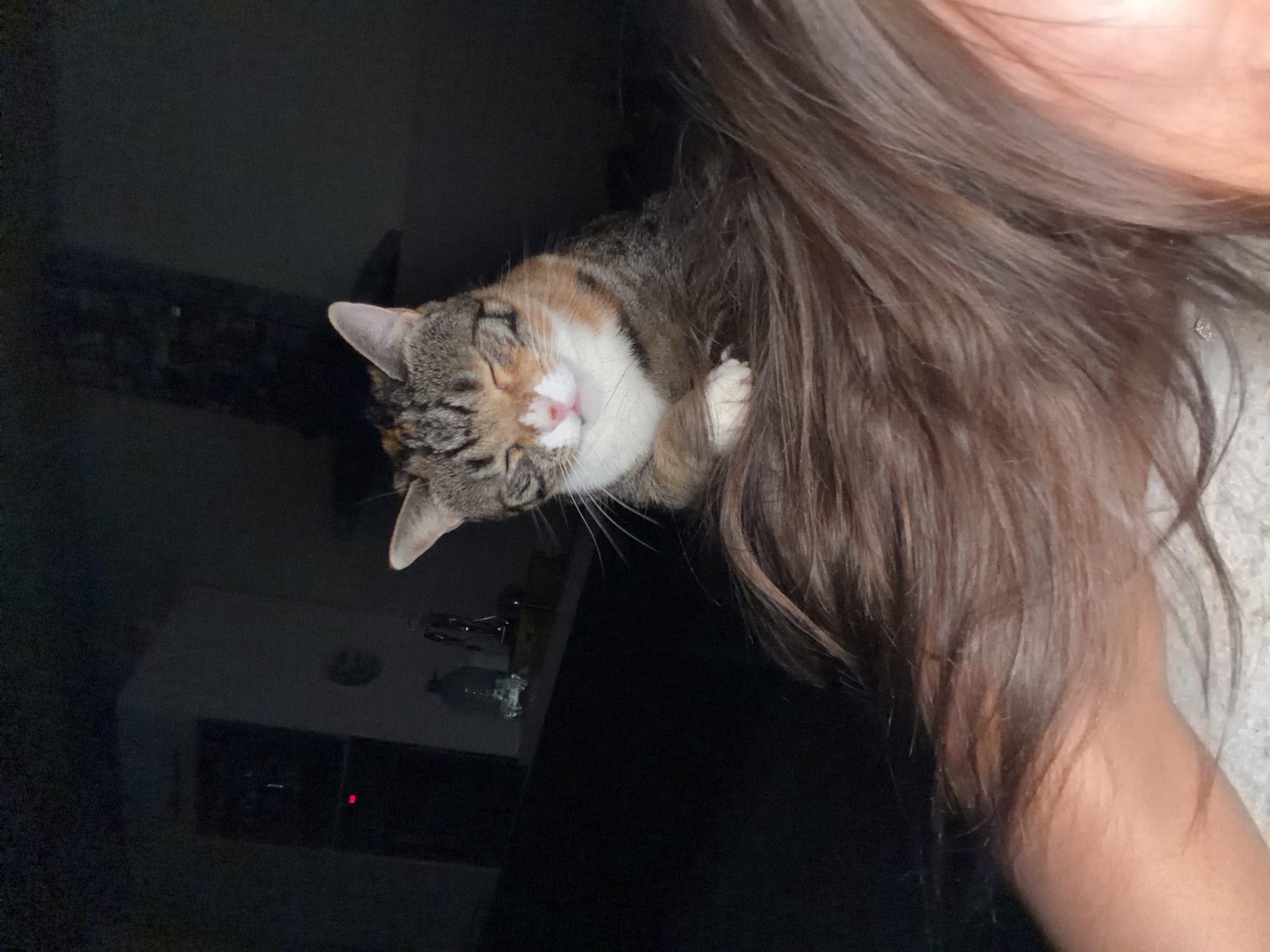 A tabby cat with calico markings is nestled in the hair of a person, presumably a woman, in an indoor setting. The cat is curled up and appears to be sleeping. The person has long, brown hair and is wearing a light-colored garment. In the background, there is a dark room with a piece of furniture visible that appears to be a tv stand or shelf. The location cannot be determined to be Krasnoyarsk, Russia based on the visual information provided.