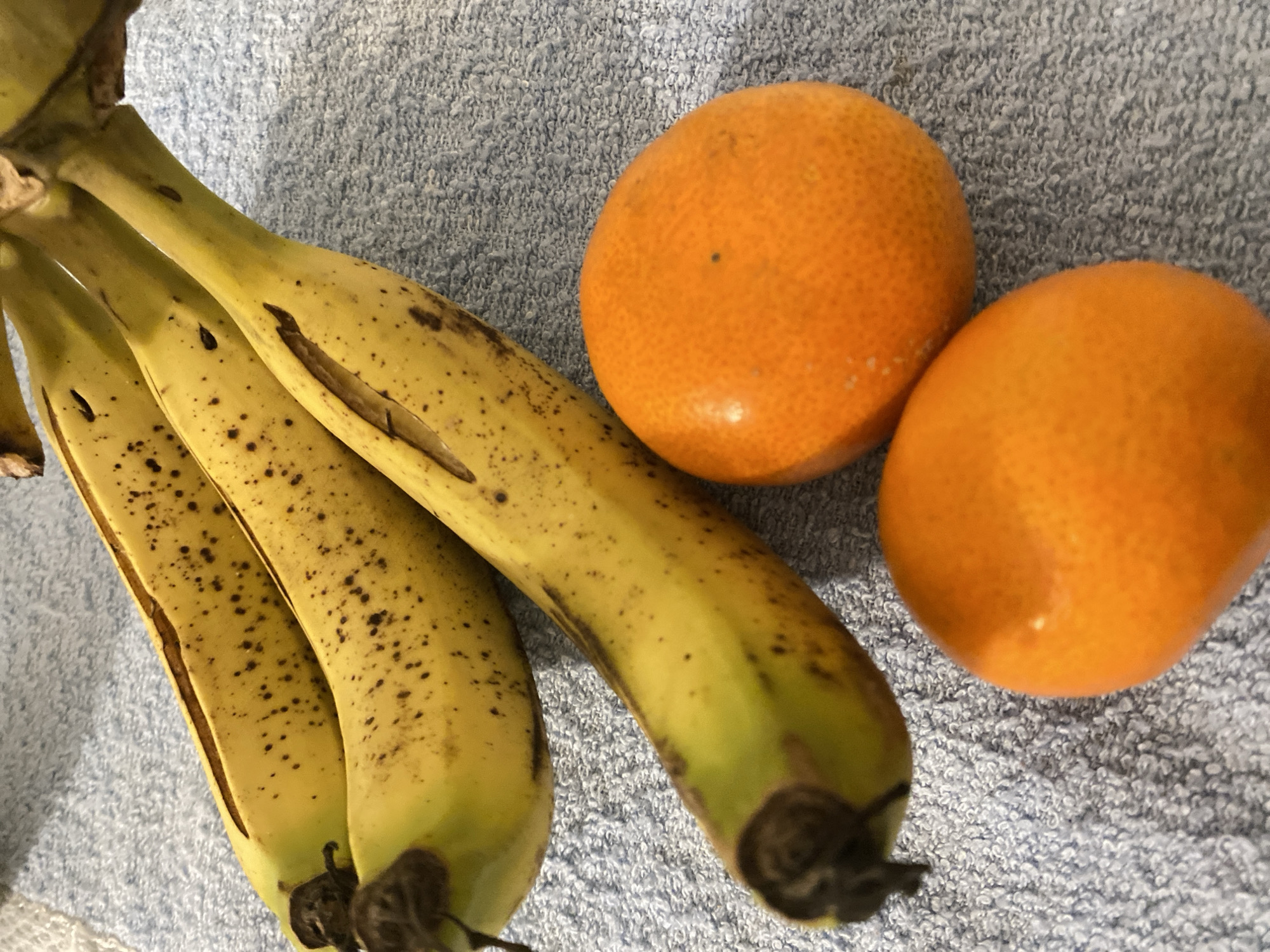 The image shows two bananas and two tangerines resting on a textured, light blue surface. The bananas are yellowing, with brown spots and a split peel visible on one. The tangerines are bright orange and smooth-skinned. There's no indication of the image being in Alanya, Turkey.