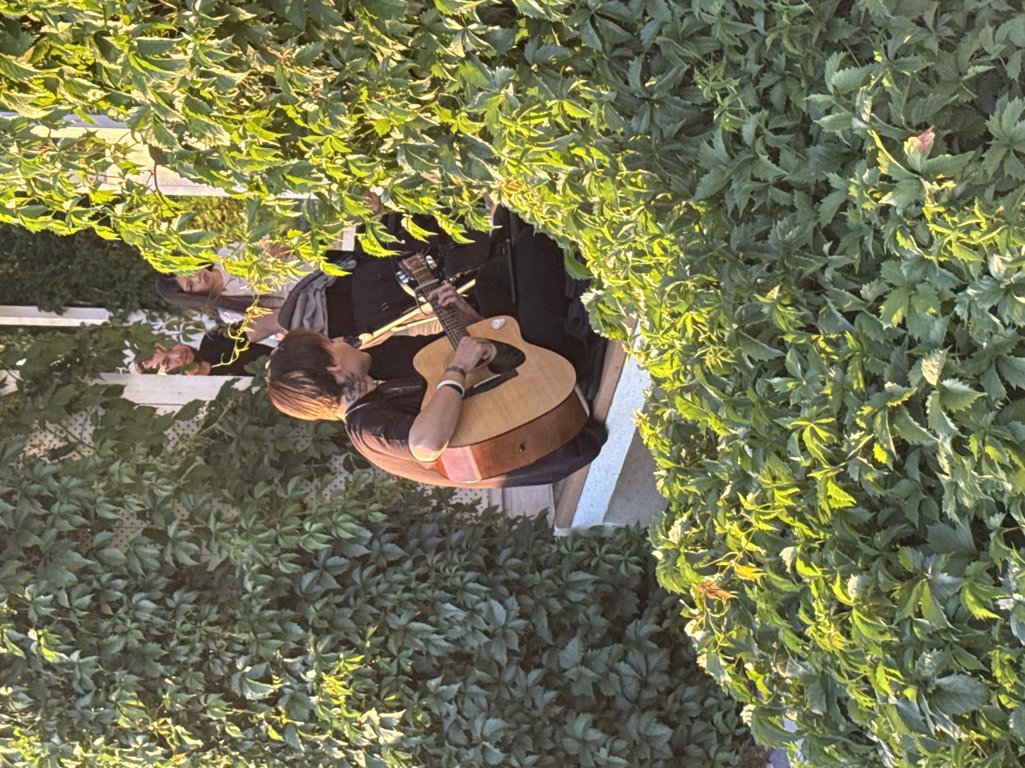 A person is playing an acoustic guitar amidst lush green foliage, with hints of a white structure peeking through the leaves. The scene is outdoors and bathed in the warm light of what appears to be either sunrise or sunset, casting long shadows and highlighting the textures of the leaves. The guitar is light-colored wood with a darker brown trim around its body. The person's hands are on the fretboard and strumming the strings, indicating they are actively playing. Other individuals are partially visible in the background, nestled within the greenery, suggesting a small gathering or performance. The overall mood is serene and artistic, with the natural setting enhancing the musical activity. The time of day is suggested by the golden hour lighting.
