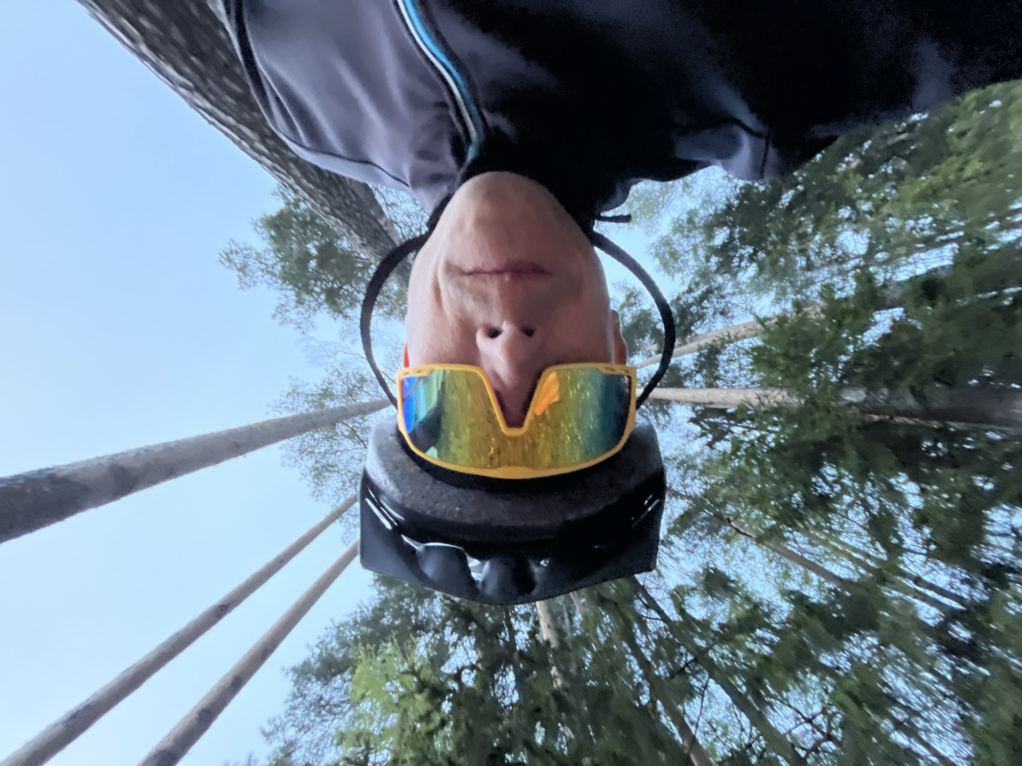 The image is an upside-down selfie taken from a low angle, likely by a person wearing a black jacket with blue and white accents, a black helmet, and reflective yellow and blue sunglasses. The background shows tall, slender trees and a pale blue sky. The location appears to be a forest or wooded area. It is not possible to confirm if the image was taken in the city of Chaikovsky, Russia, without additional information.