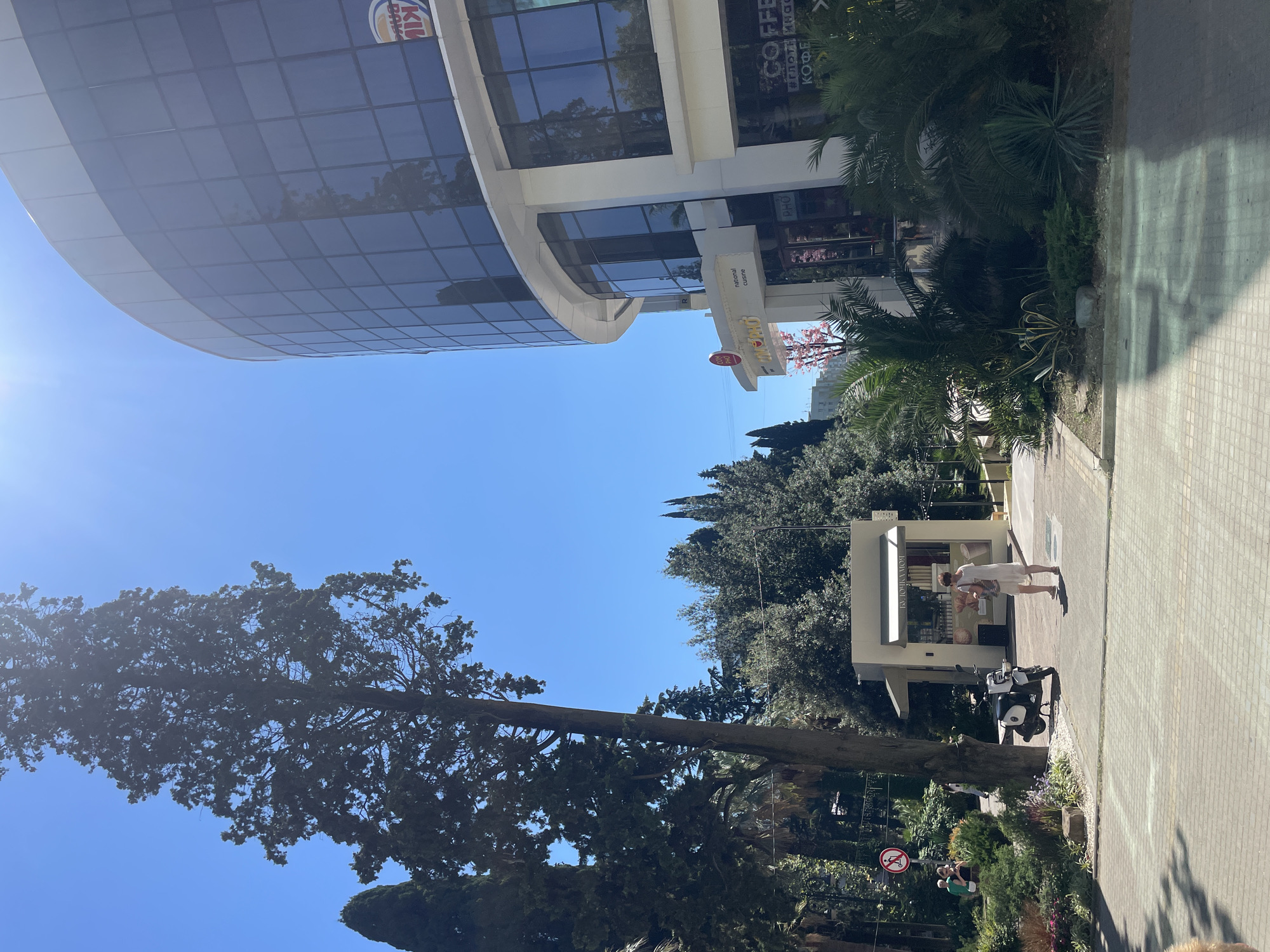 The image depicts an outdoor scene in Sochi, Russia, likely on a sunny day. In the foreground, a paved walkway is visible, with shadows cast across it. To the left, there is lush greenery and a large evergreen tree with a tall, slender trunk. Beyond the greenery, a small kiosk with an awning is set up, and a woman in a white dress is standing in front of it, looking down at something she is holding. A white scooter is parked to the left of the kiosk.
Dominating the right side of the image is a modern, multi-story building with a curved facade featuring large, dark-tinted windows. A sign with the Burger King logo is visible on the upper part of the building. Below, at street level, there are storefronts. One storefront has a sign that reads "TIM PHO" with the text "National Cuisine" underneath. Another storefront has text that appears to be "COFFEE" in large font, followed by Russian text below. Palm trees and other tropical vegetation are planted in front of the building. The sky is a clear, bright blue.