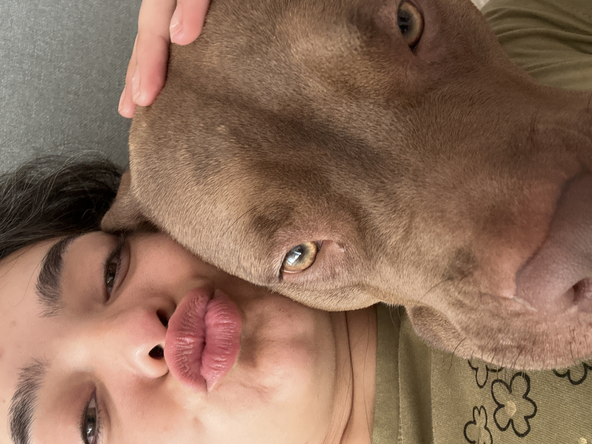 A close-up selfie shows a person puckering their lips towards the camera, with a brown-furred dog's head resting against their cheek. The person's eyes are partially closed, and their eyebrows are dark and arched. The dog's eye is visible, appearing amber in color. A hand is gently resting on the dog's head. The person is wearing a green t-shirt with a floral pattern. The background is a neutral, textured gray surface. The setting is not identifiable as Malevo, Bulgaria.