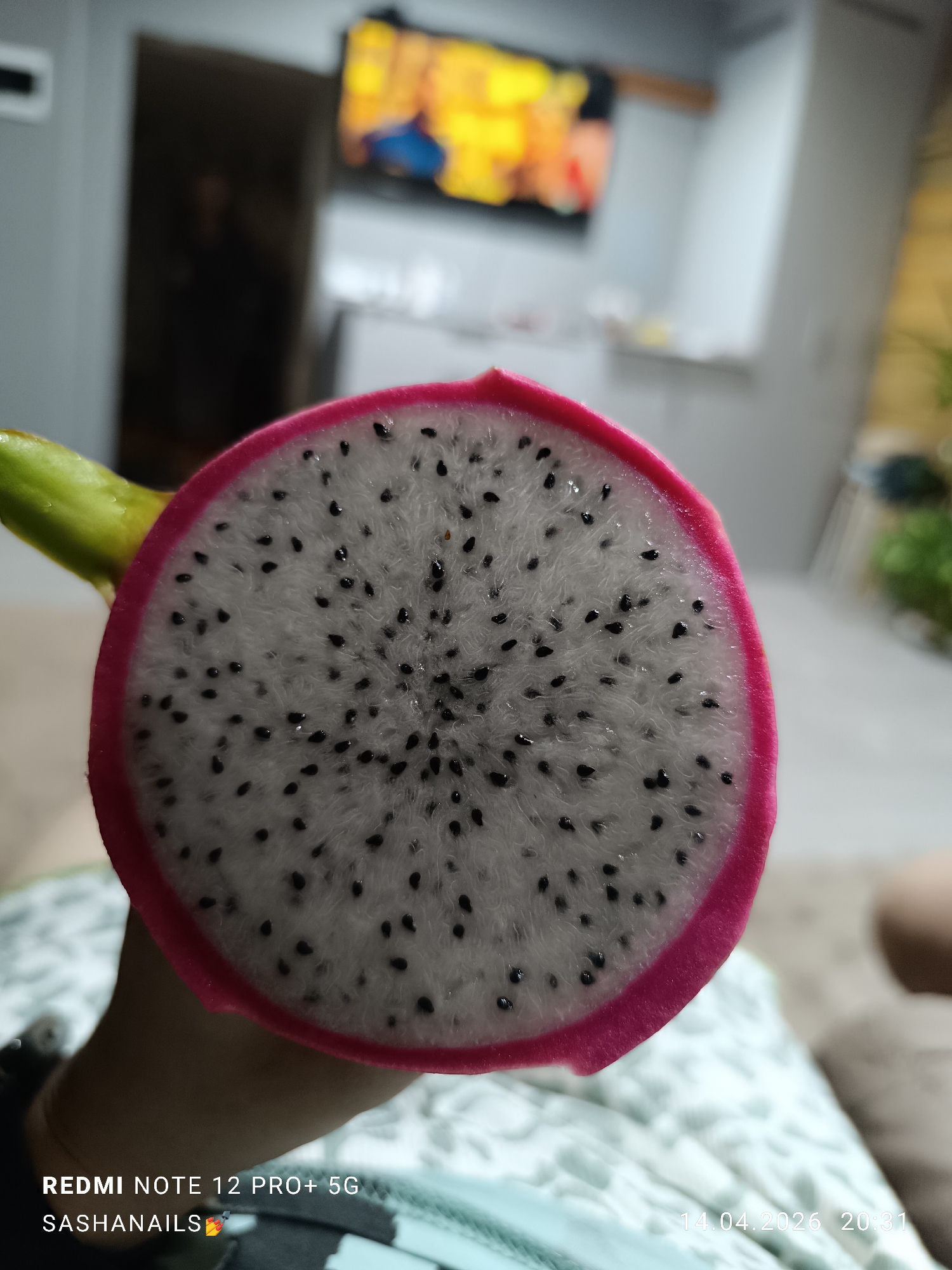 A close-up photograph depicts a cross-section of a dragon fruit, exposing its white flesh speckled with small, black seeds, and a vibrant pink rind. A green stem protrudes from the top left of the cross-section. The fruit is being held in someone's hand. The background is blurry, showing a room interior with a television screen displaying yellow and orange hues and other indistinct objects. The date "14.04.2026 20:31" is imprinted in the lower right corner. The text "REDMI NOTE 12 PRO+ 5G SASHANAILS" is imprinted in the lower left corner. There is no verifiable evidence in the image to confirm its location in the city of Chaikovsky, Russia.